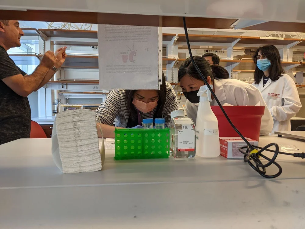 Lab Life — Gan Laboratory