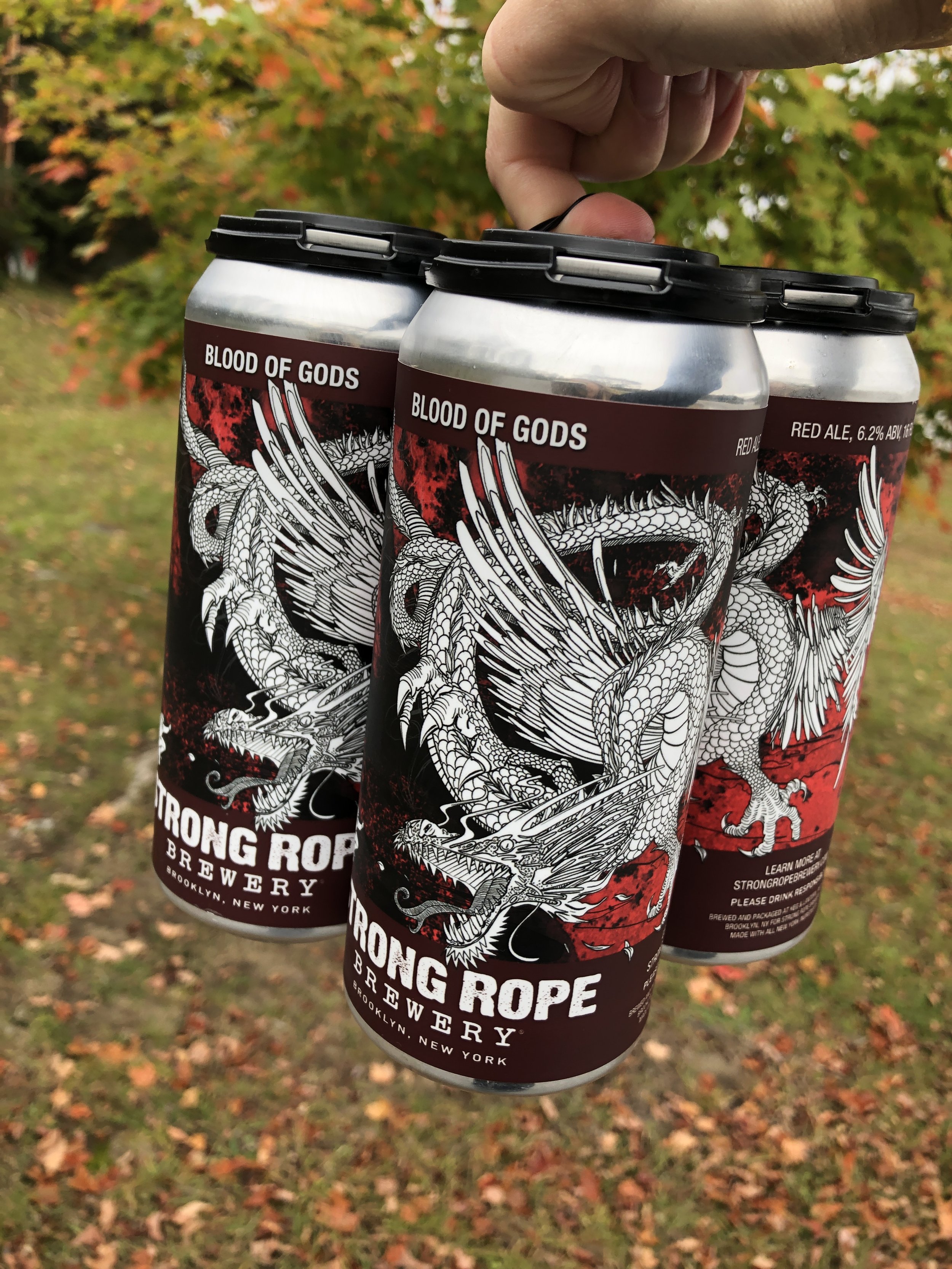 Adirondacks — Strong Rope Brewery