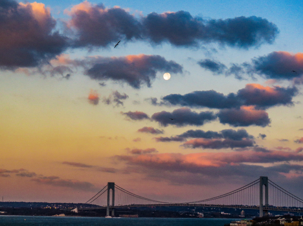 Full moon and sunset with bird over city bridge