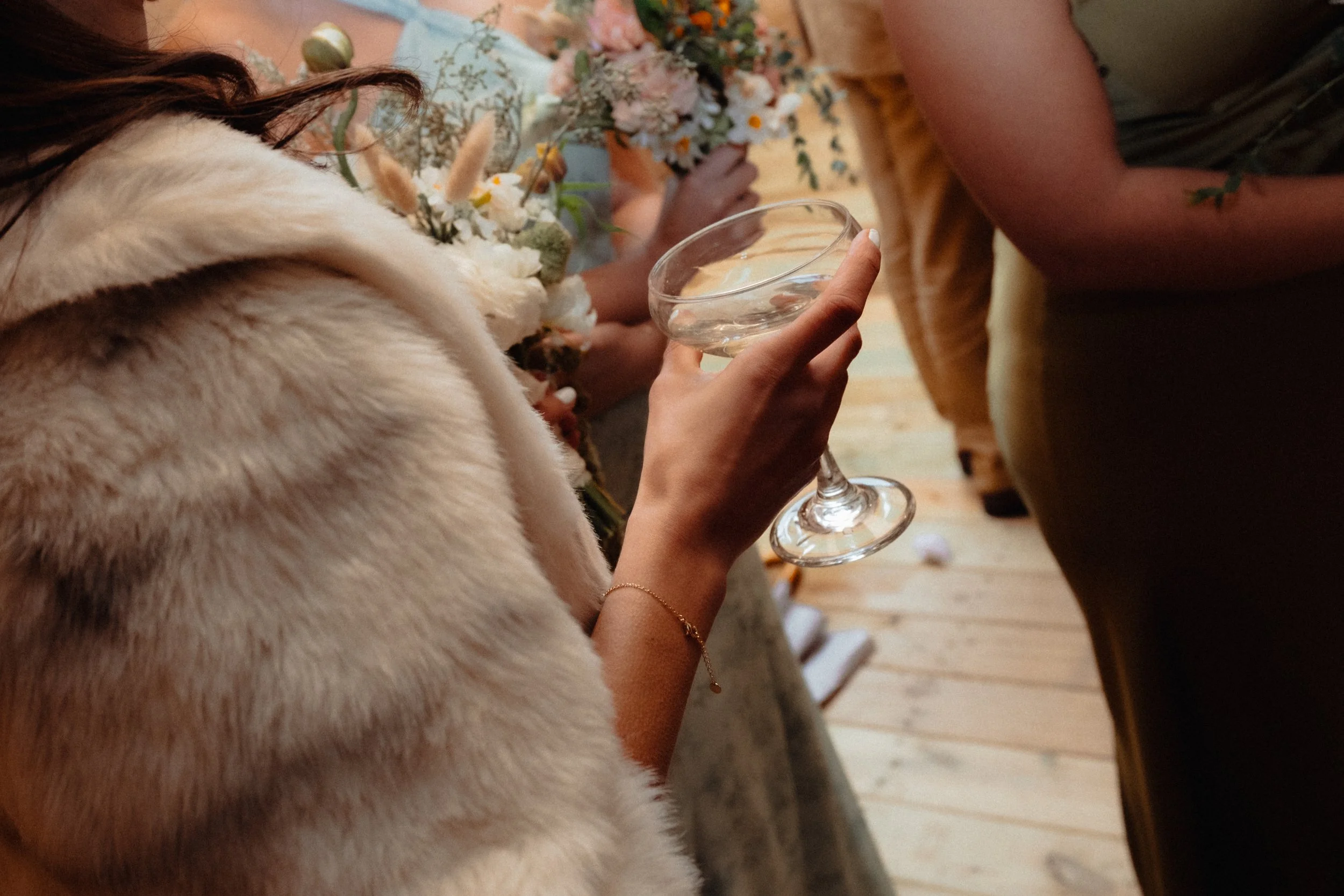 nick and emily wedding family bridal party Hillshore Photography-2.jpg