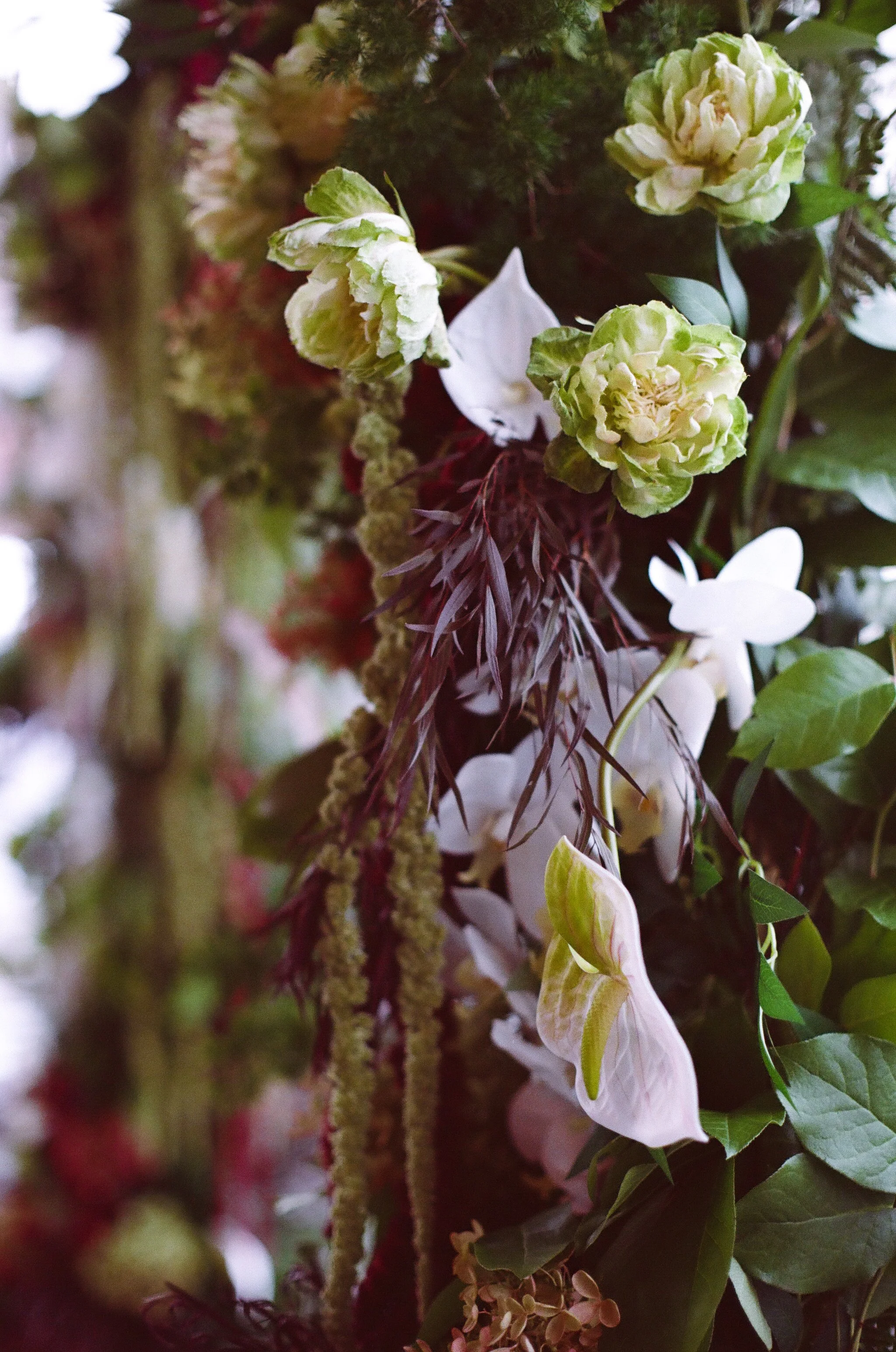 sara and tom film-17.jpg