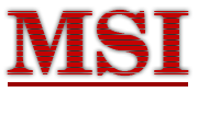 MSI-GROUP