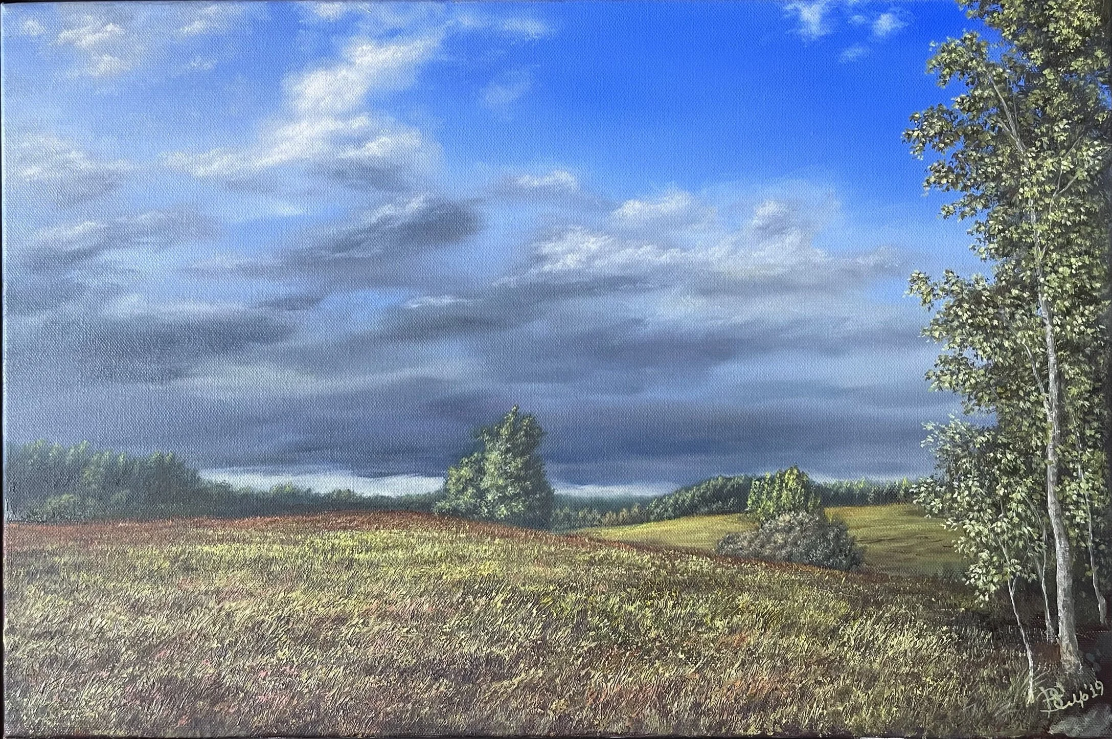 Before The Storm 40x60cm