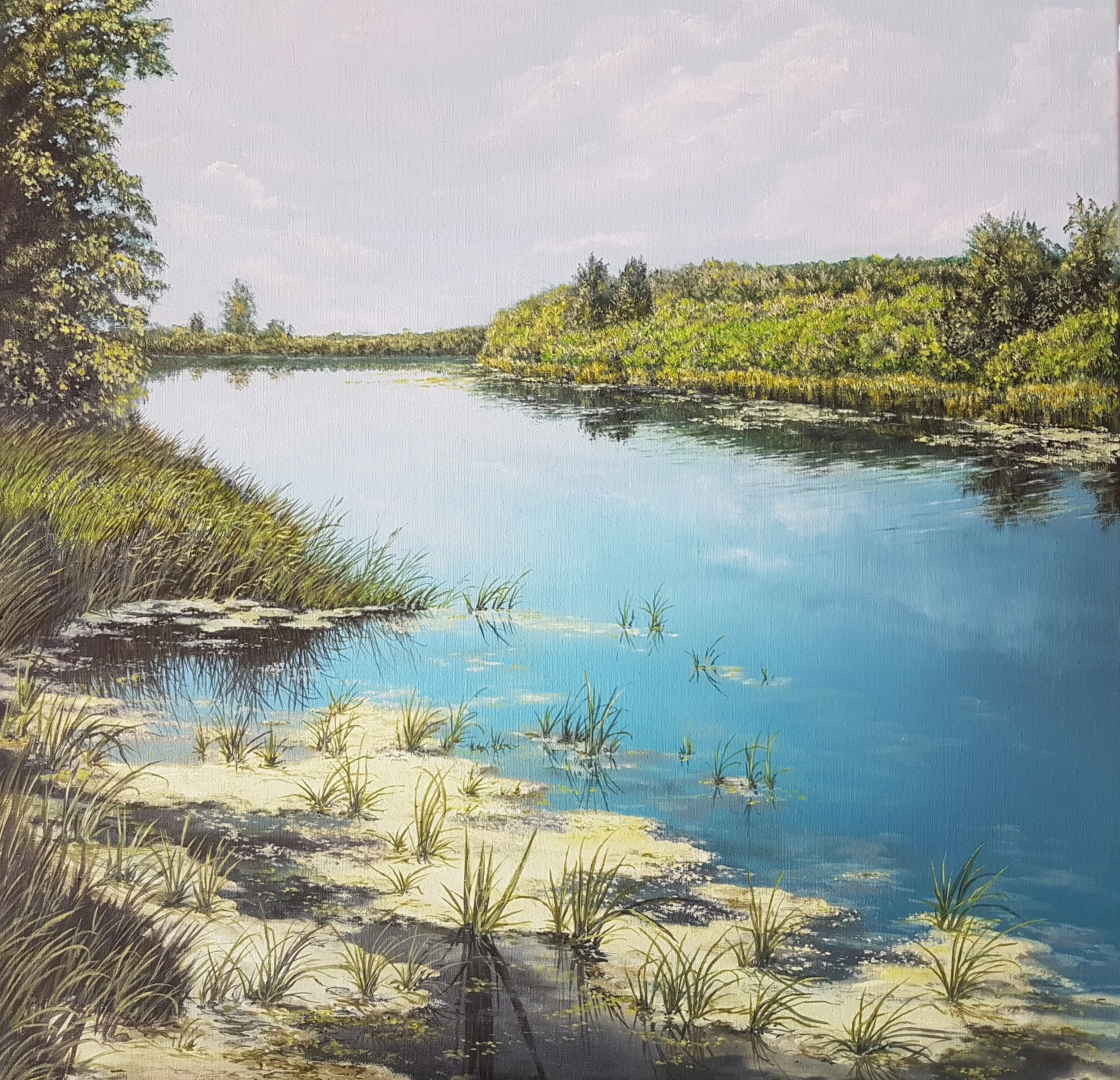 Bug River 40x40cm