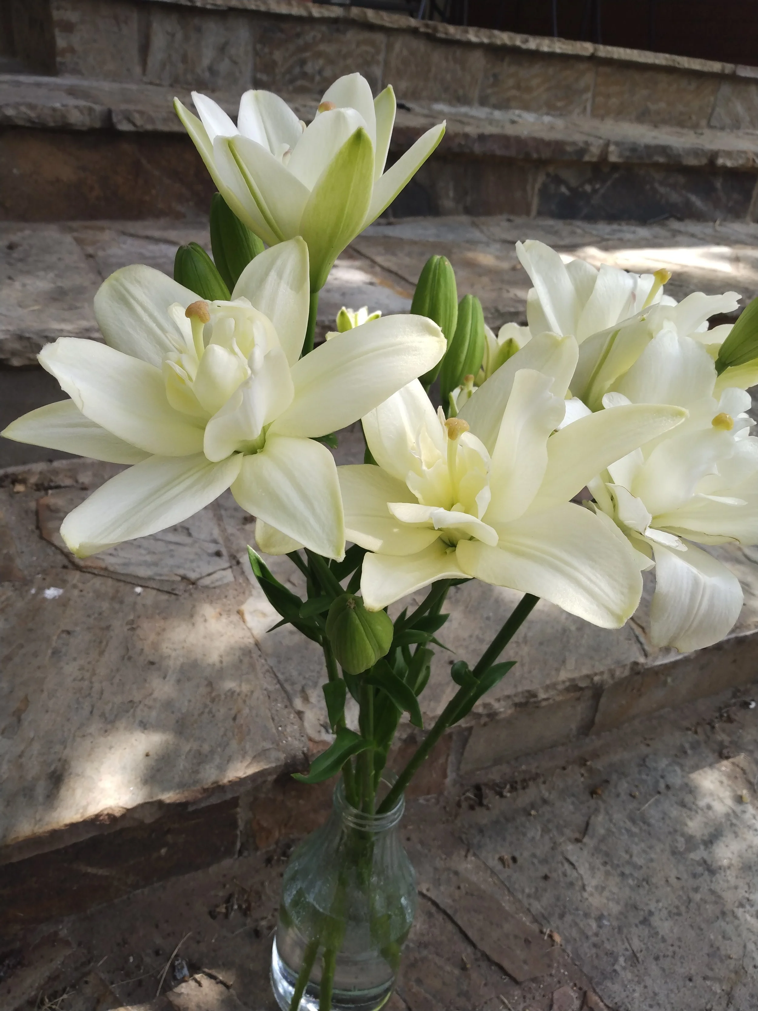 Double White Lilies