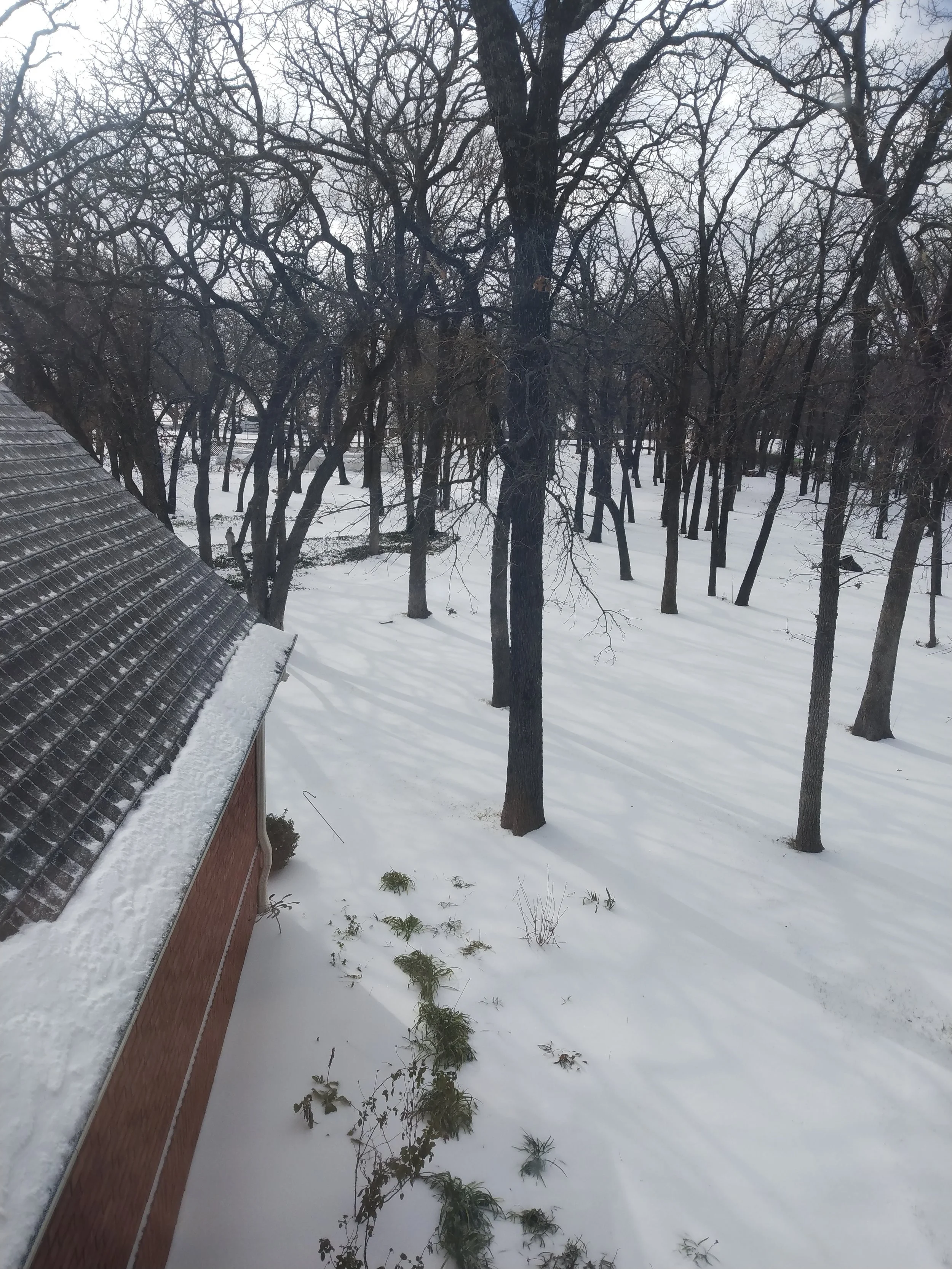 late January snow