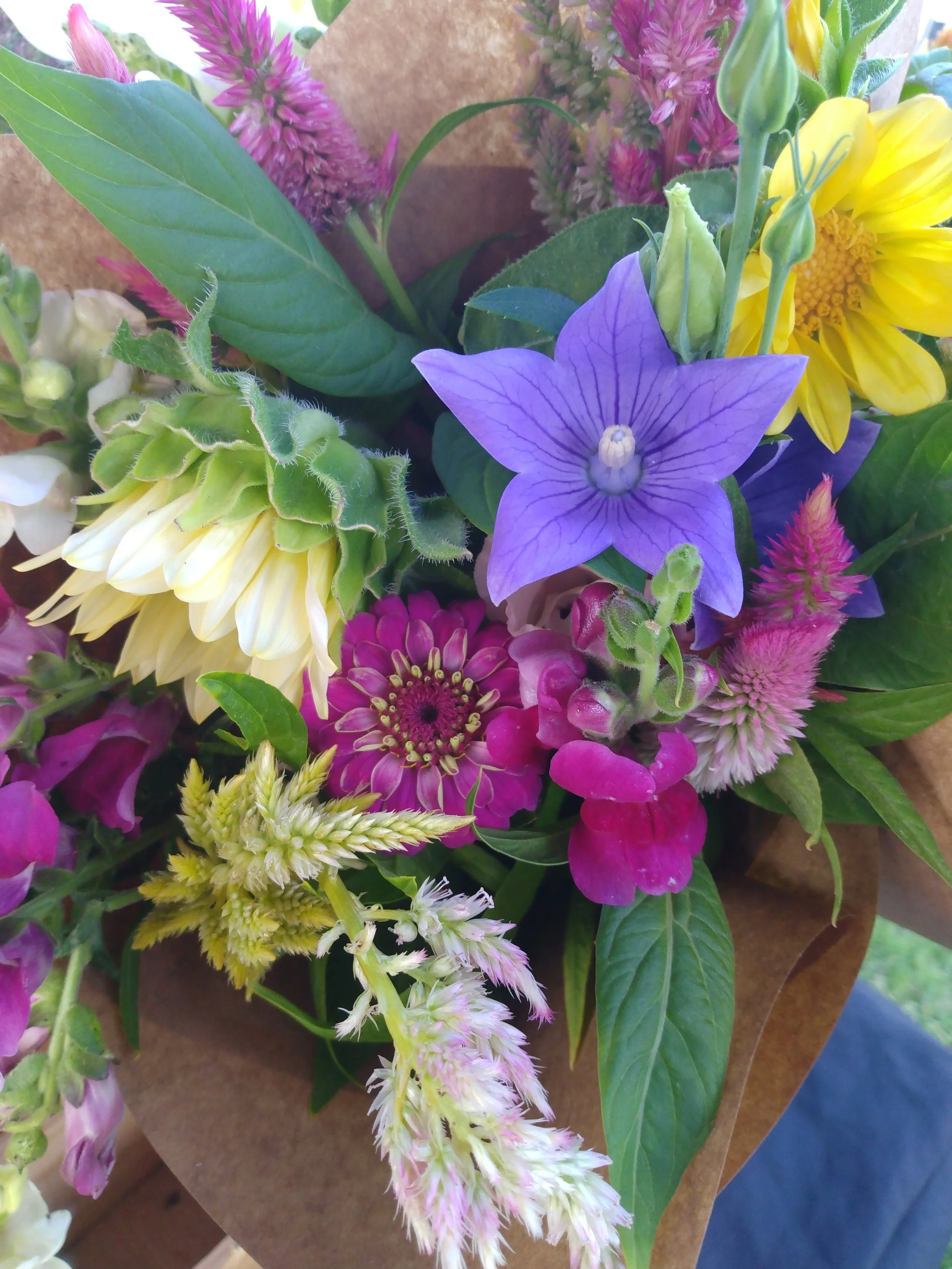 Mixed Bouquet