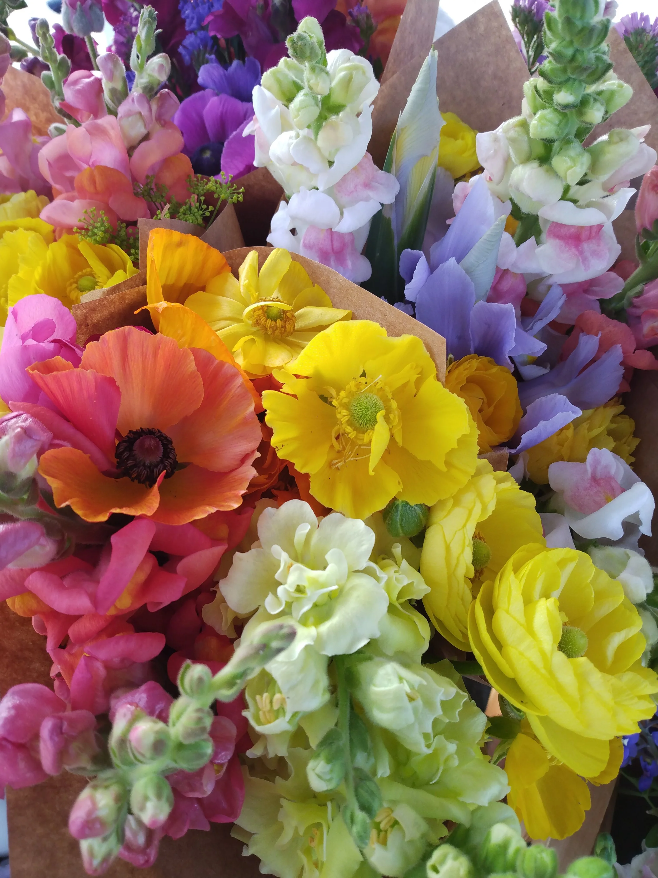 Bouquets with ranunculus, dutch iris, snapdragons, and dill