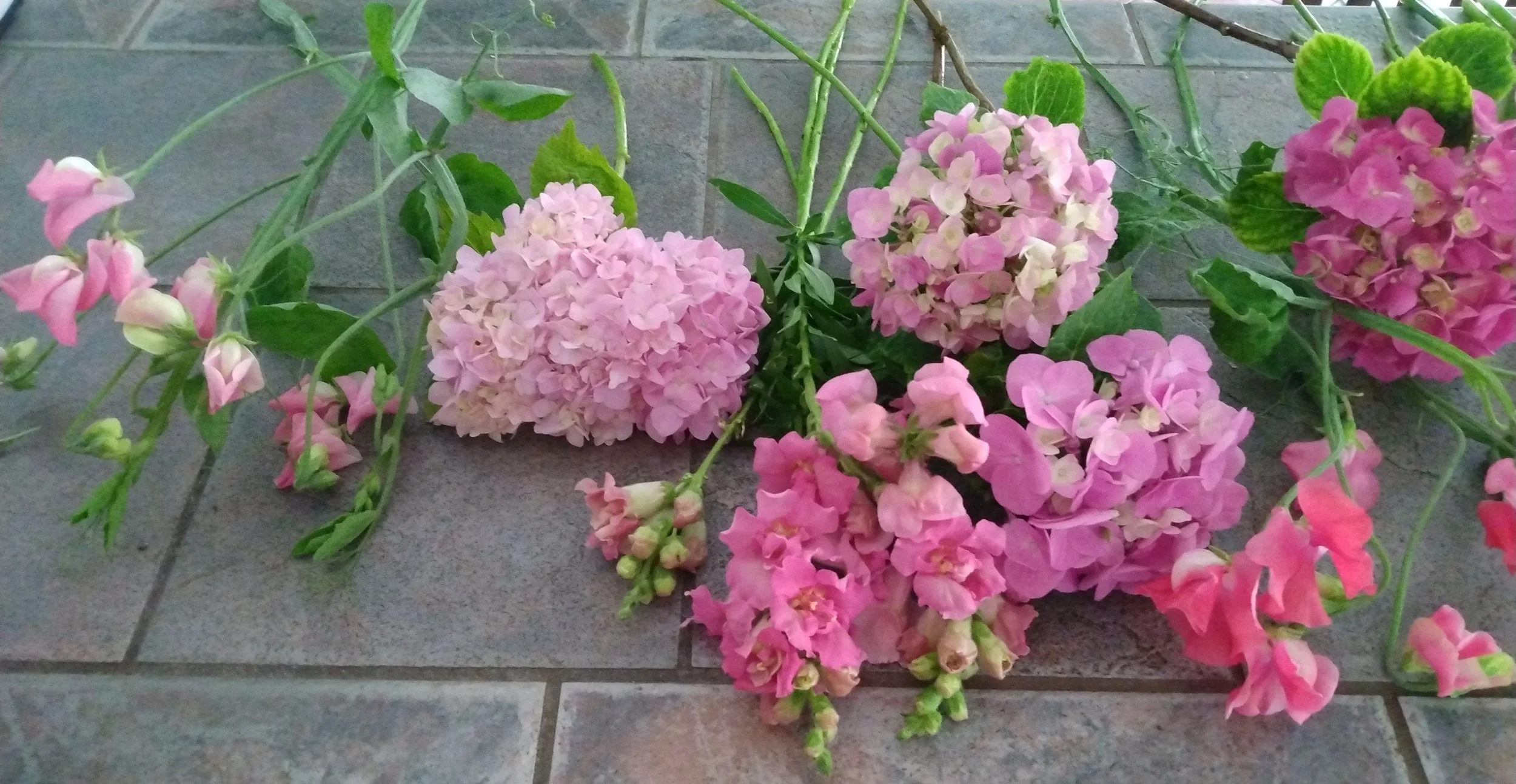 Flowers in Pinks