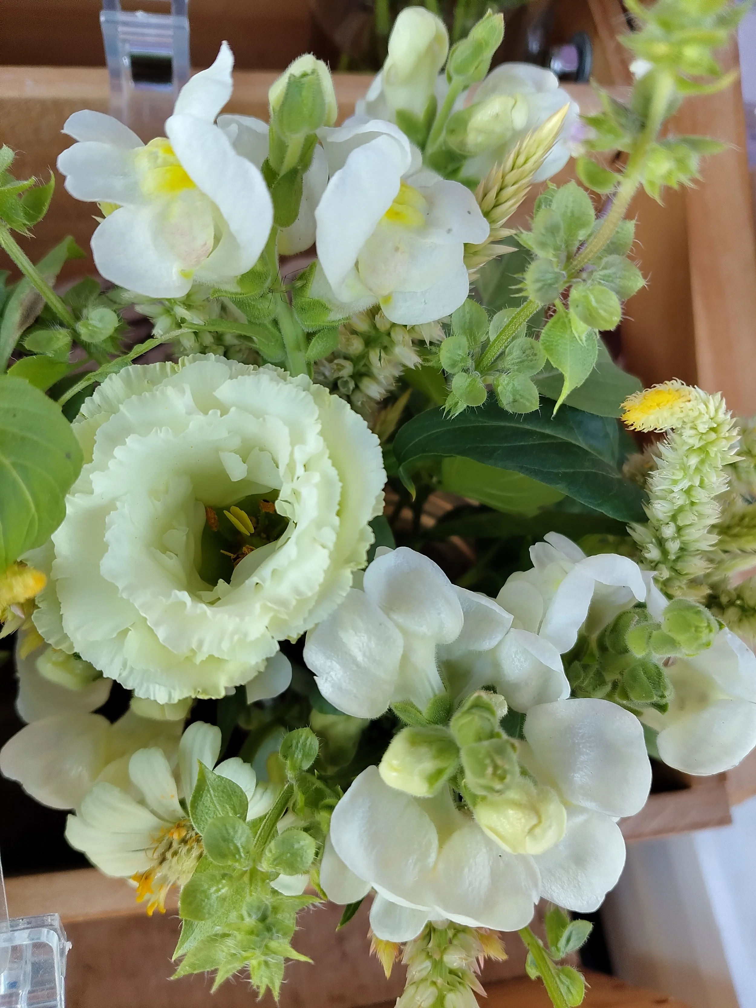 White Bouquet