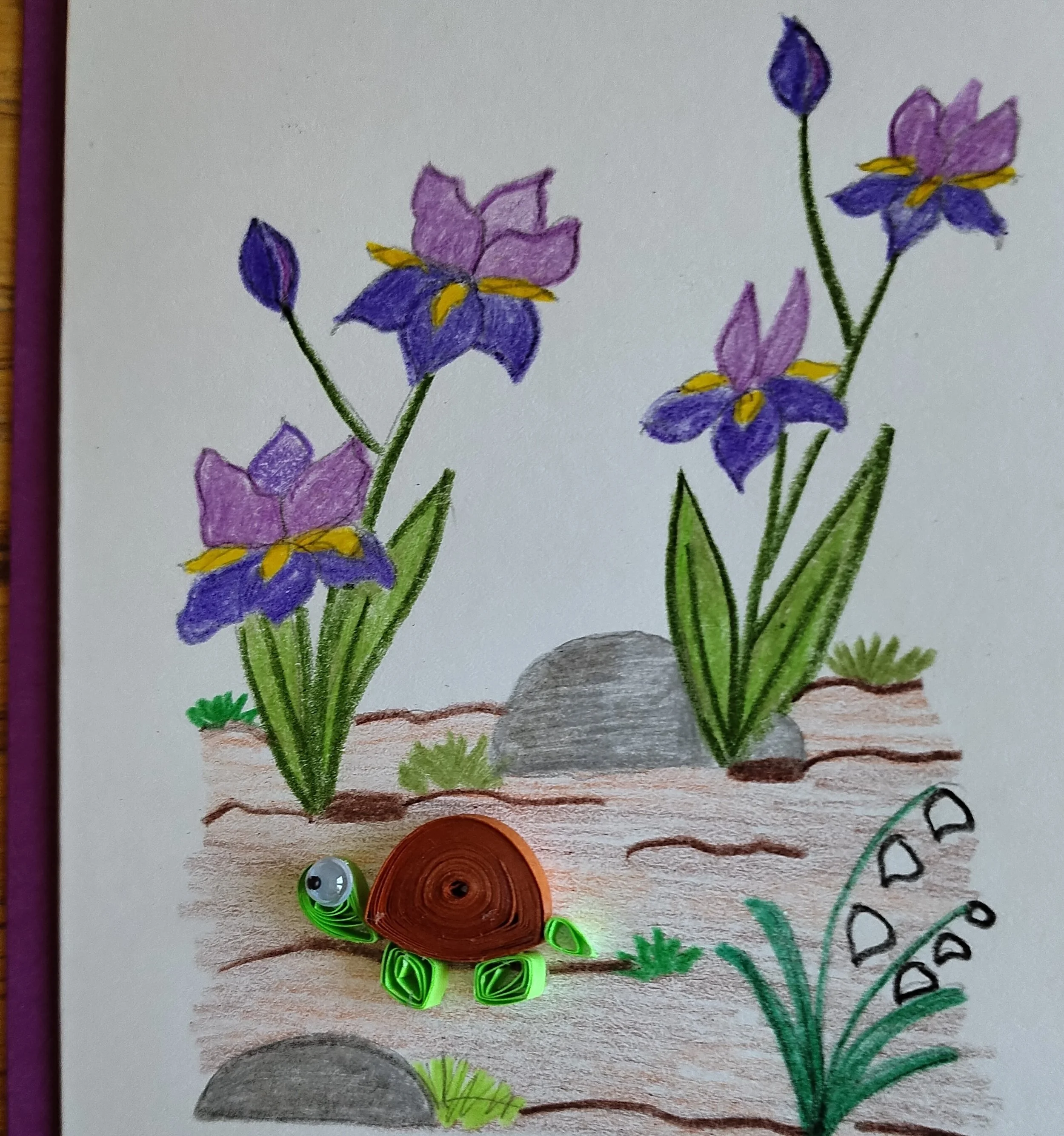 quilled turtle in iris