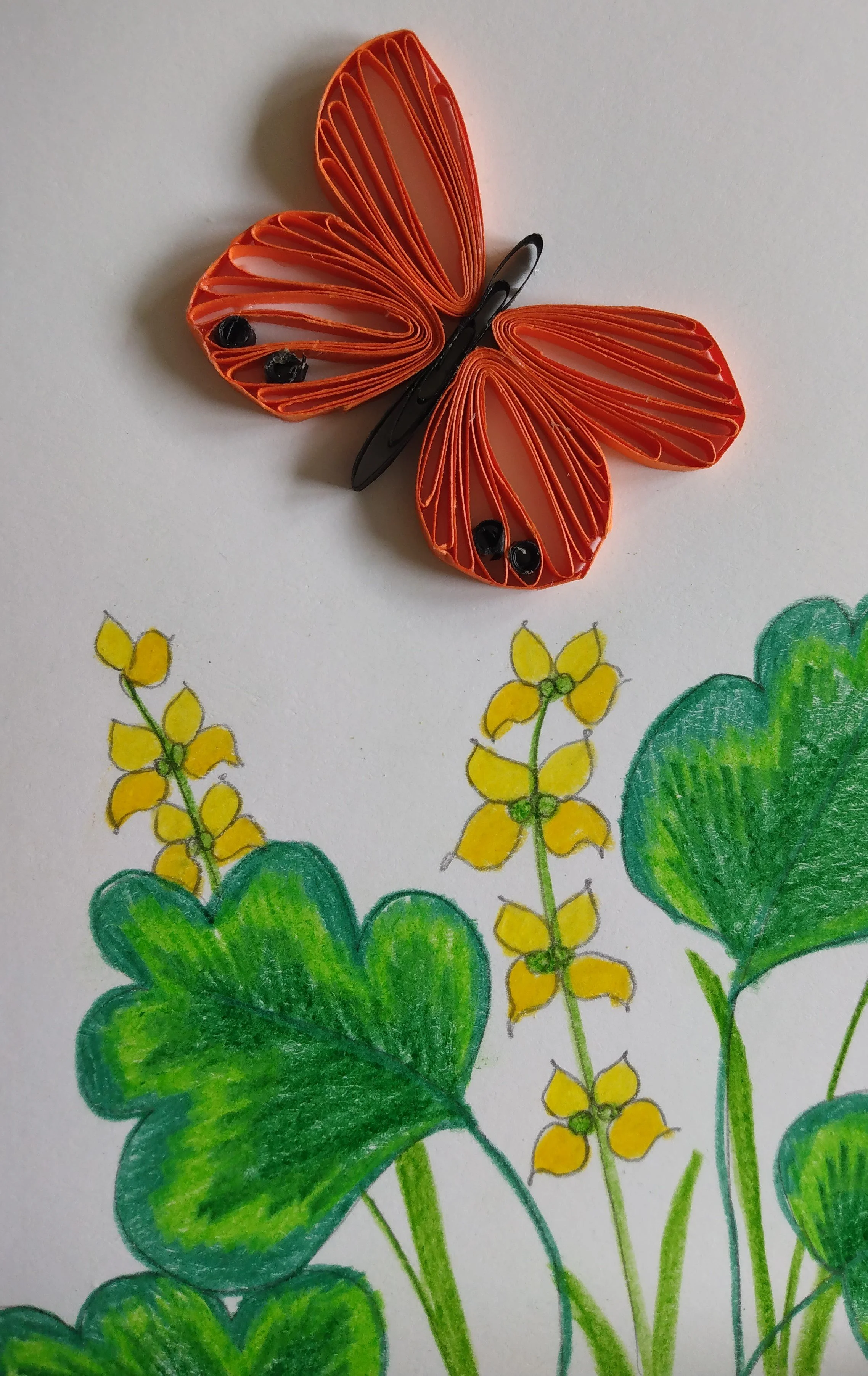 Quilled Butterfly