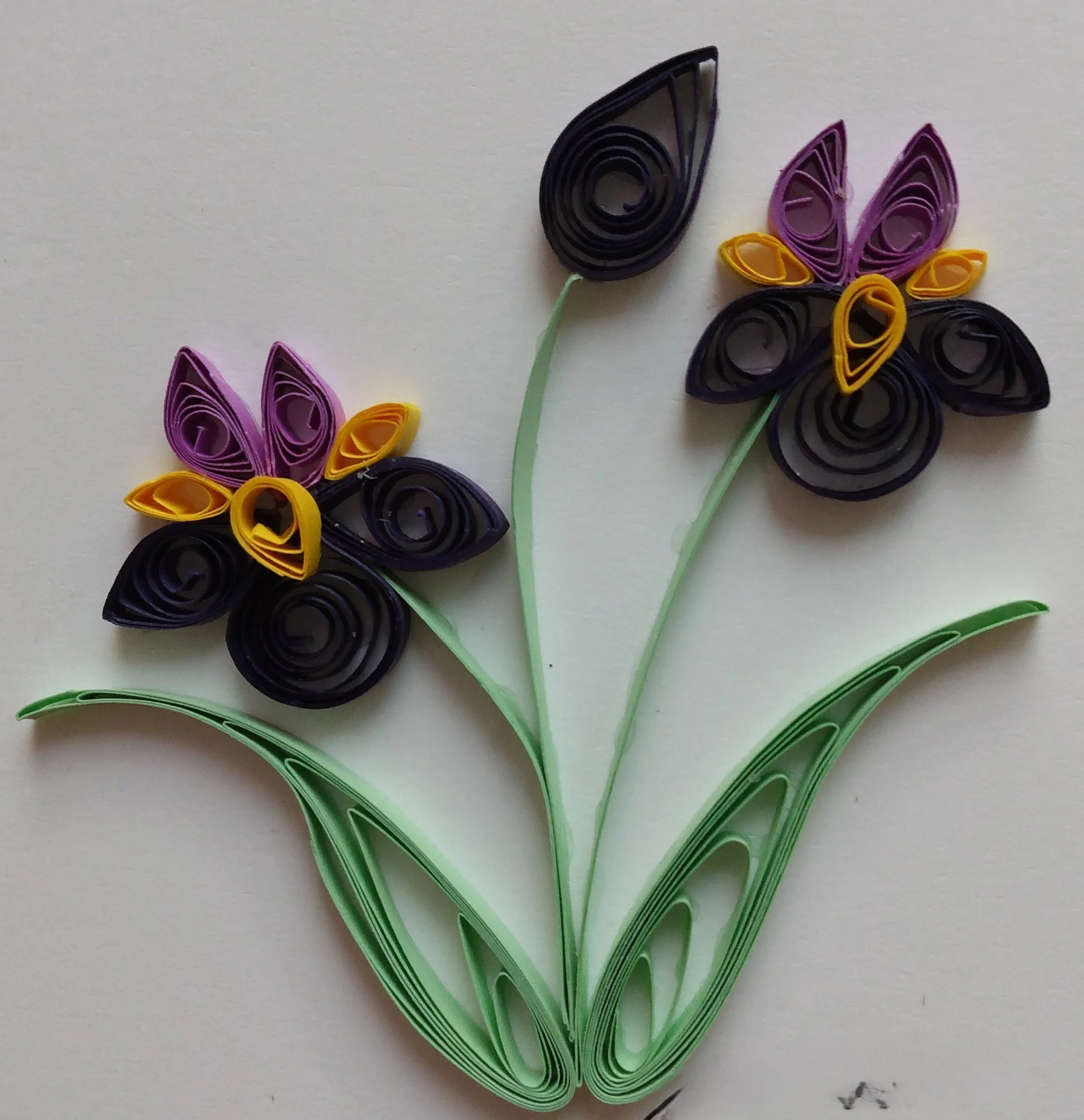 Quilled Iris