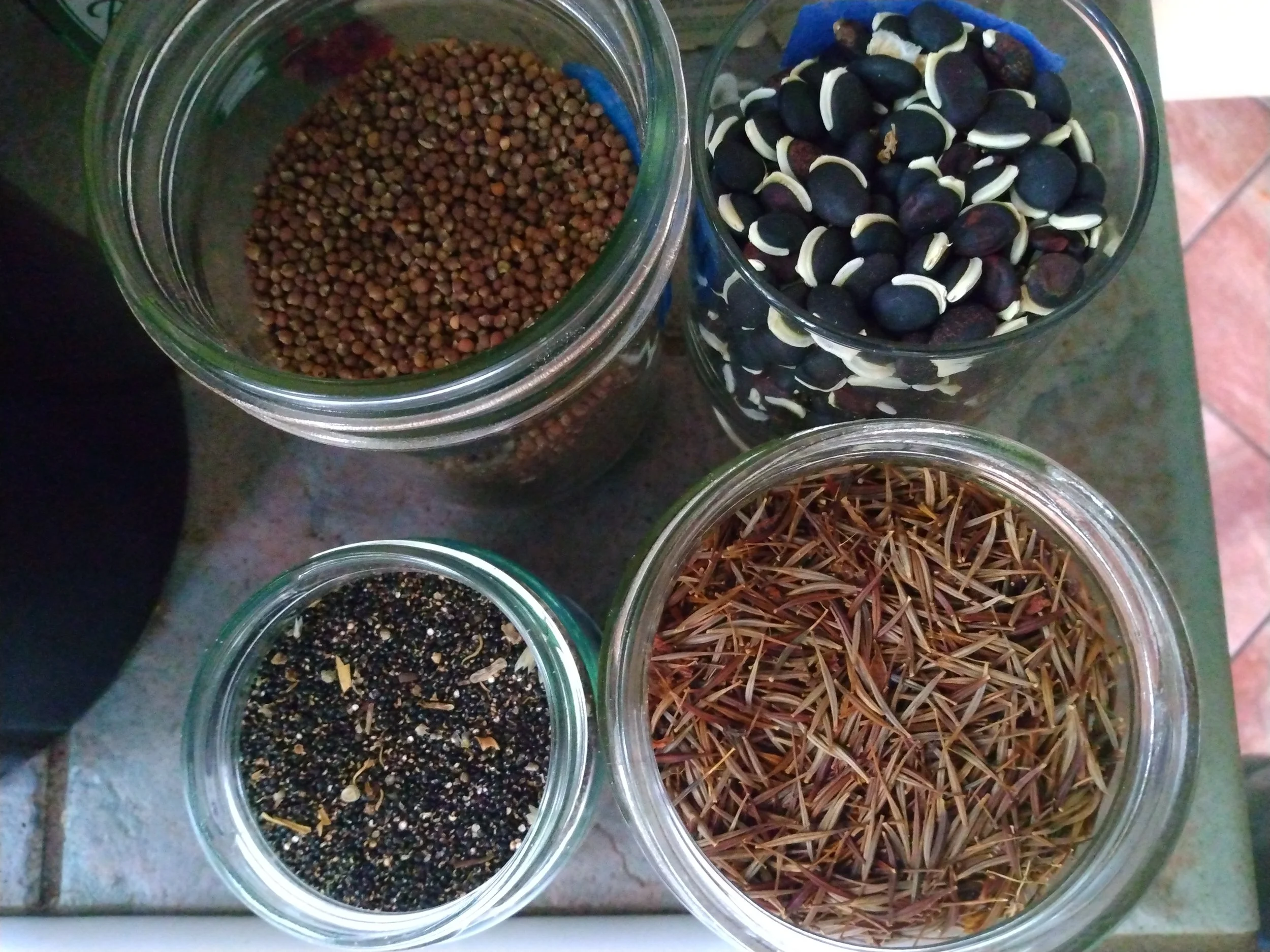 Flower seeds