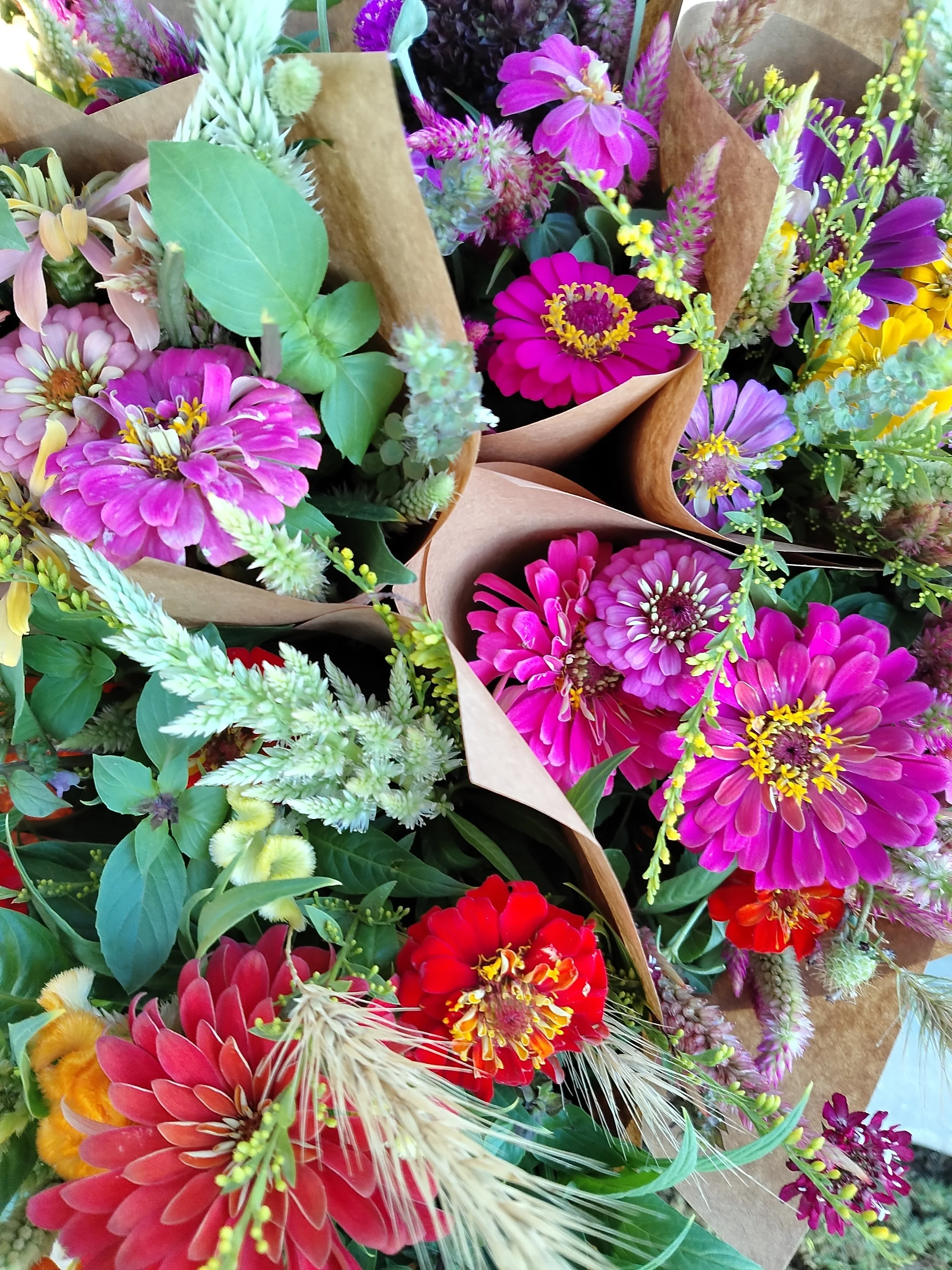 Summer Blooms