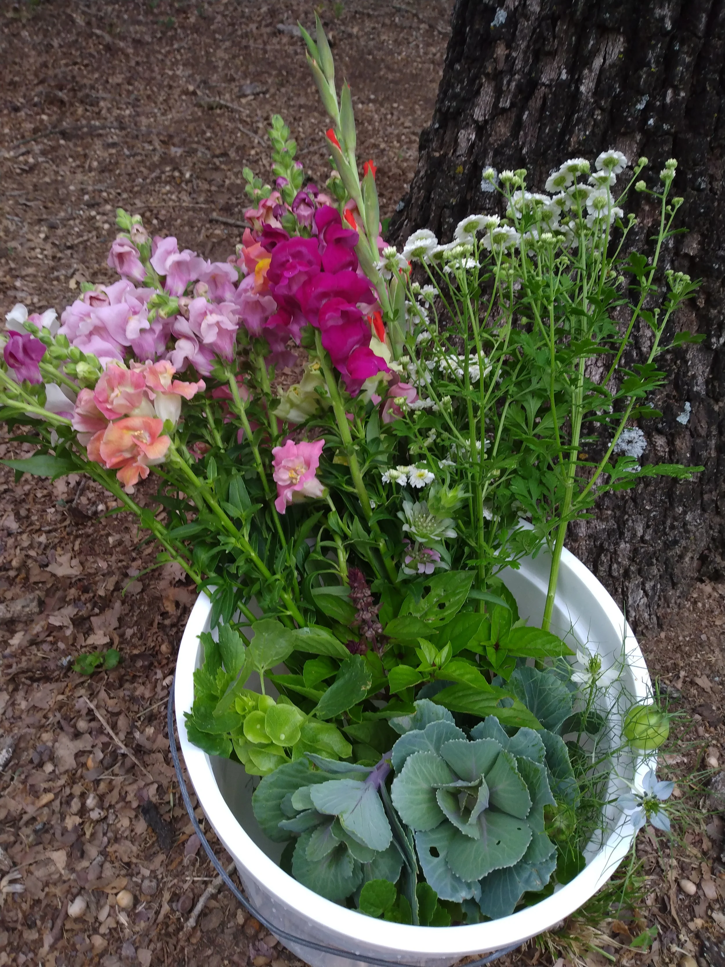 Bucket of Flowers