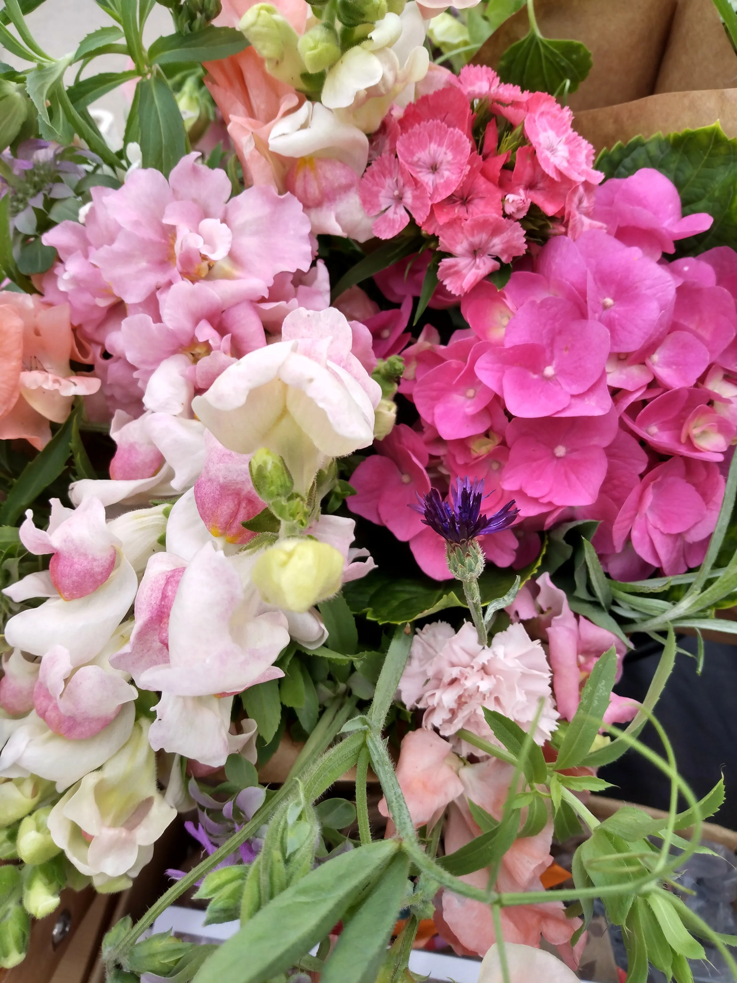 Pink Bouquet