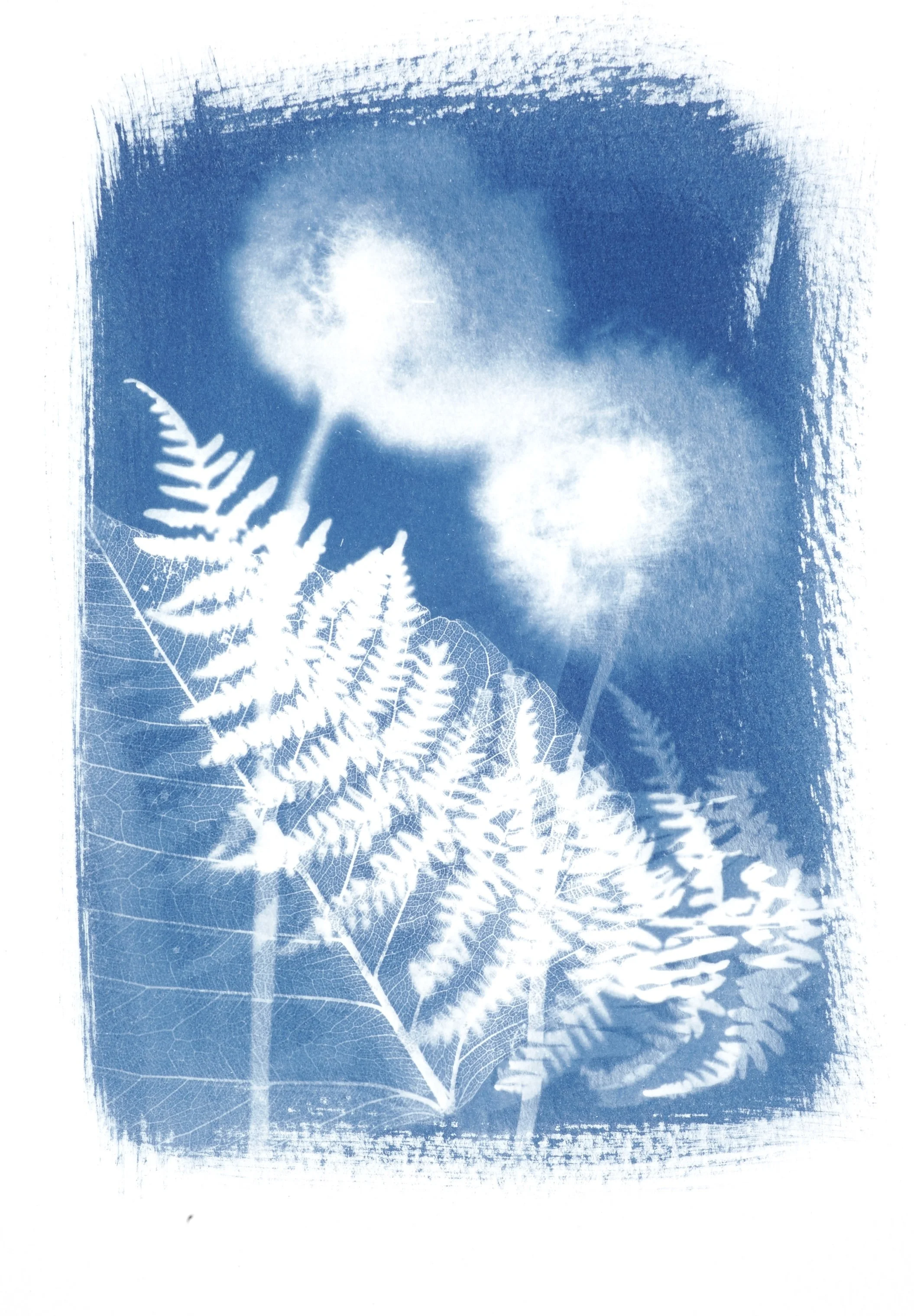 Cyanotype Workshop