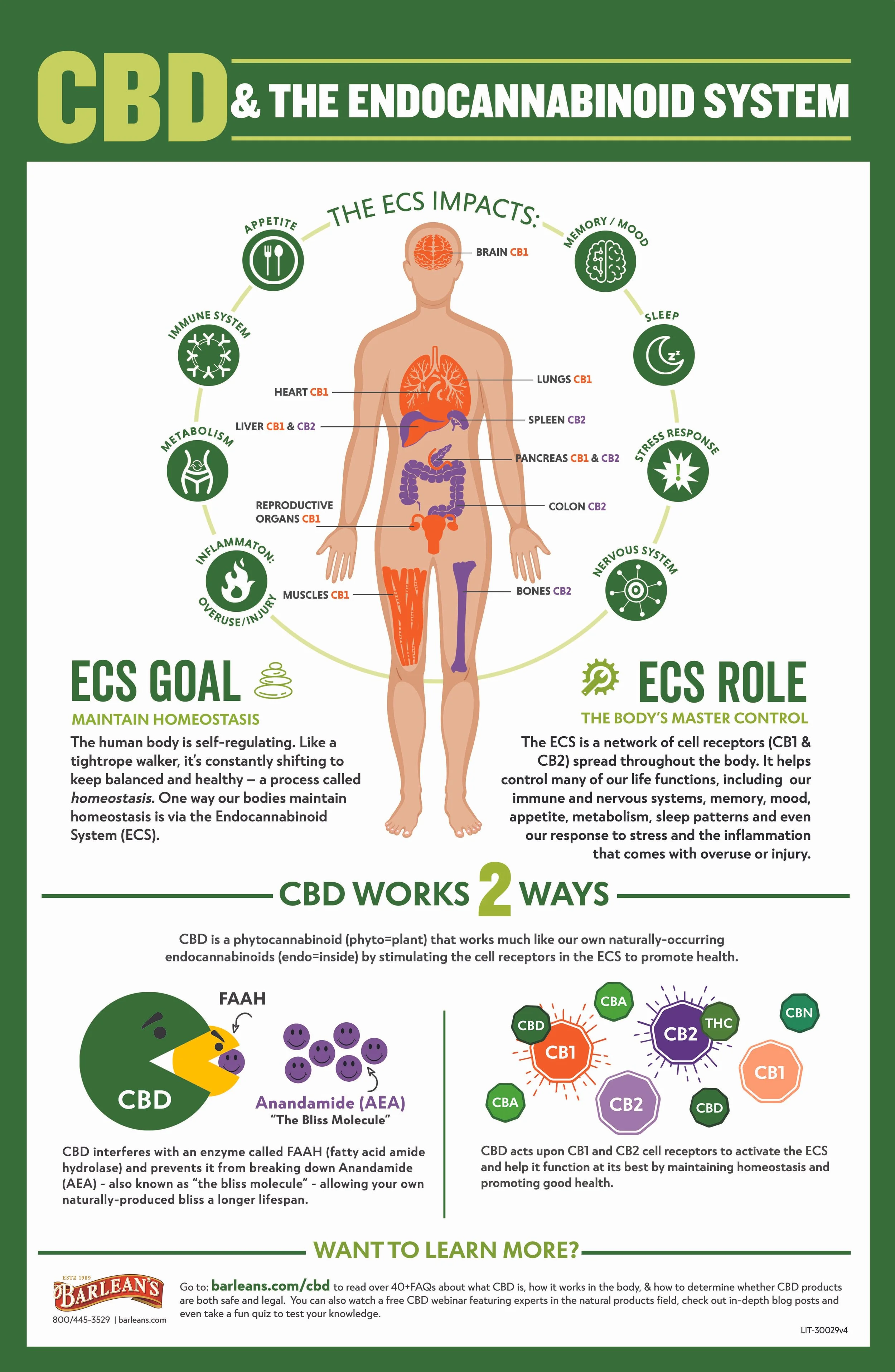 ECS Poster Final.jpg