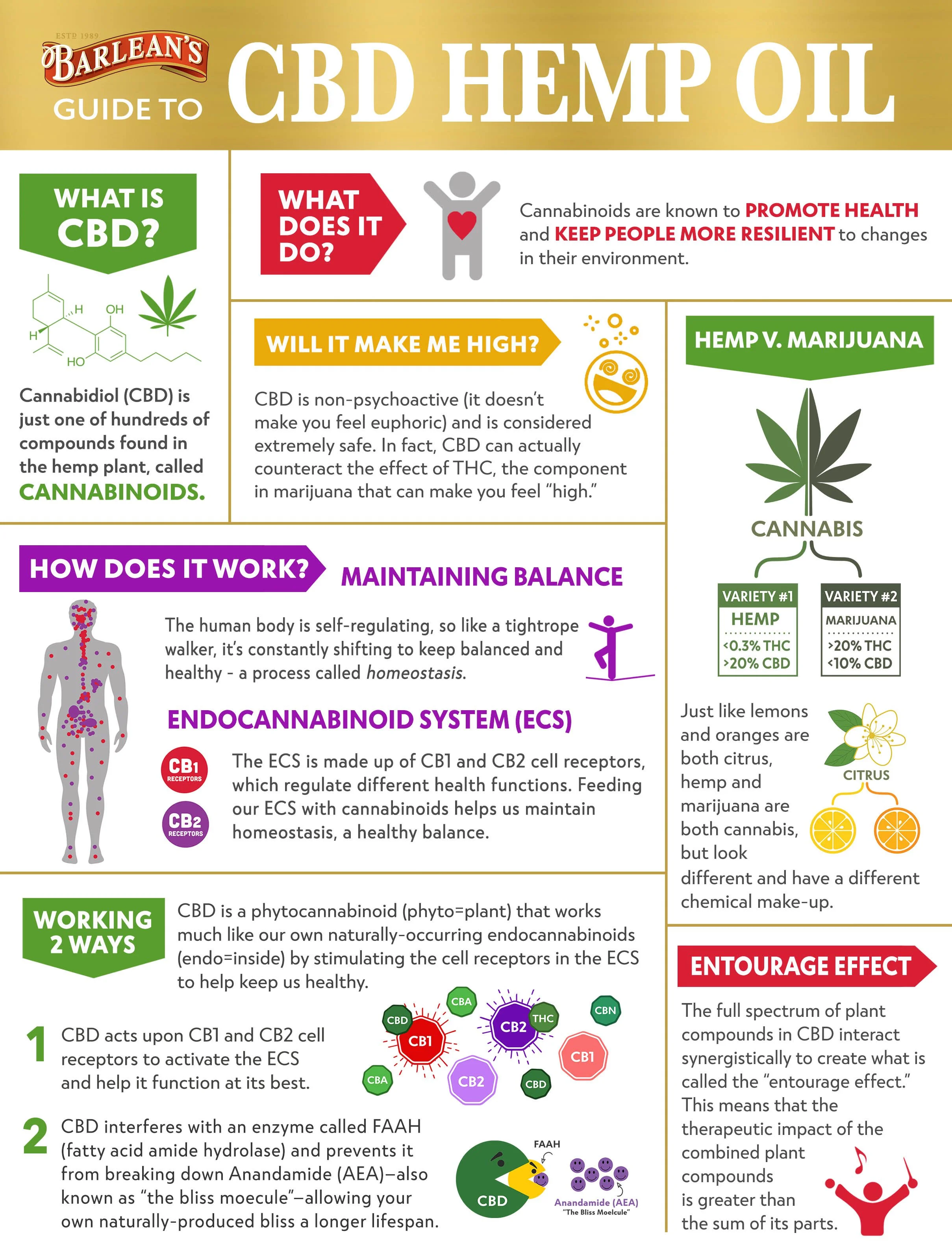 CBD Infographic Pg 1 Update April 2019.jpg
