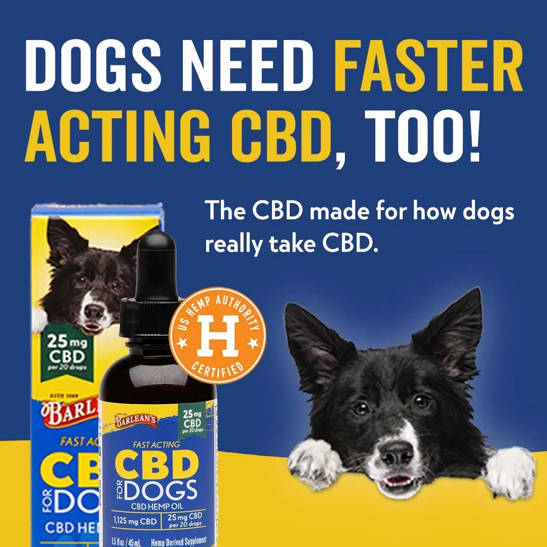 IG Faster CBD for Dogs.jpg