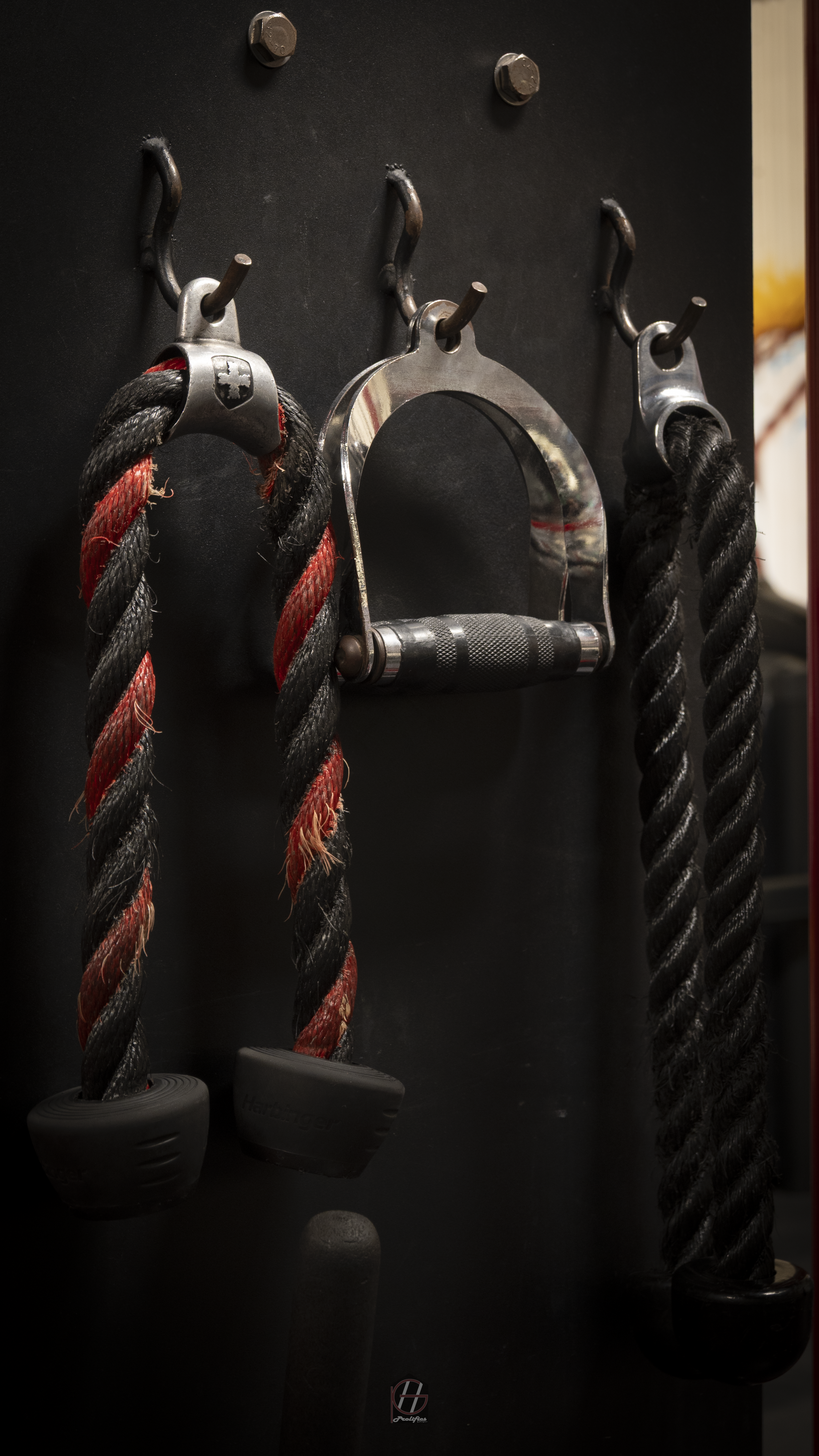 20260801-DSC_1259.png