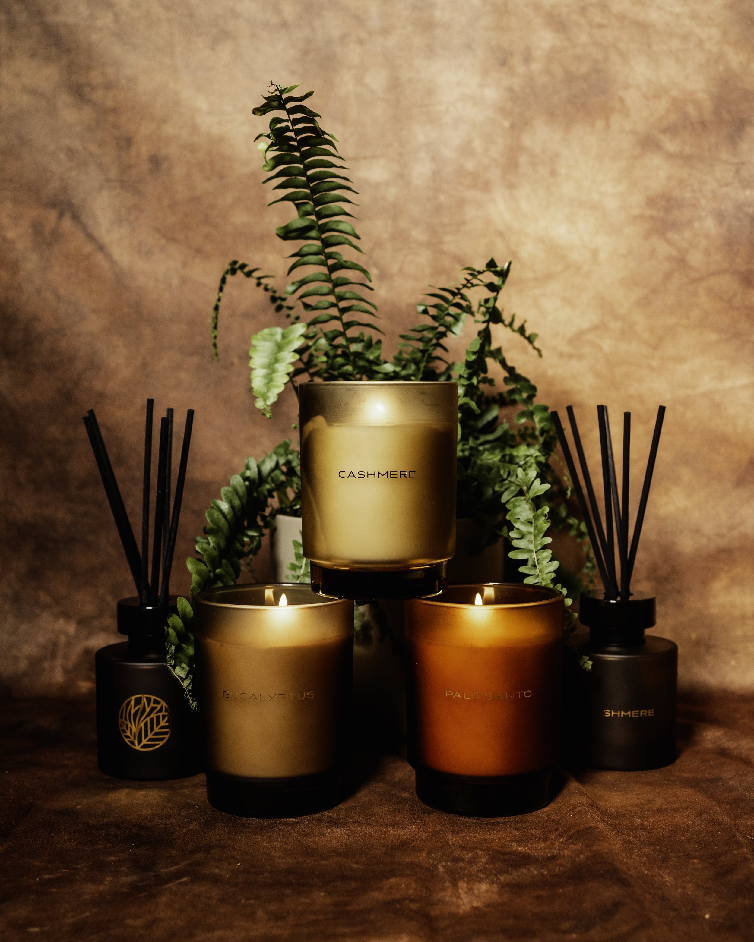 cashmere 2 - Copy.jpg