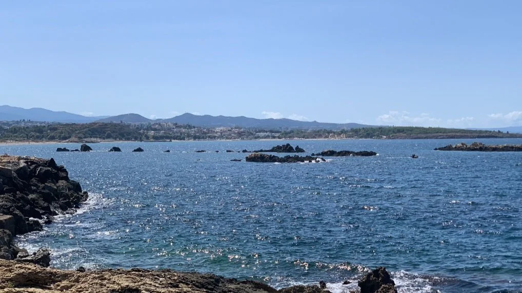 Screenshot 2023-03-07 at 10.02.32.jpg