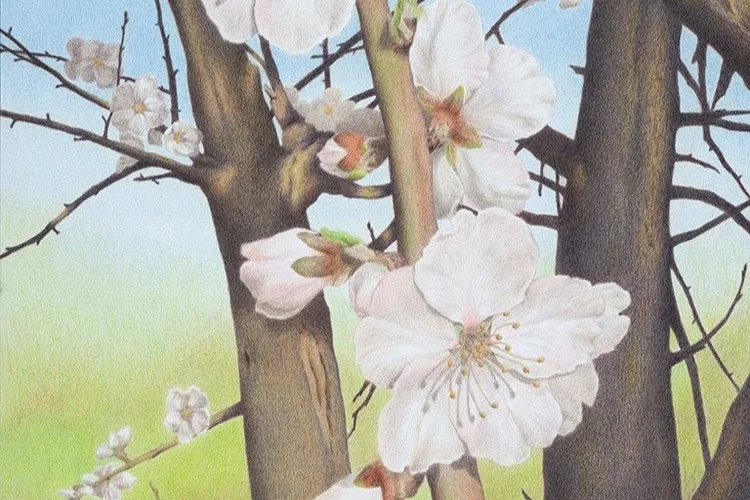 Yelena Shabrova (Studio #36)