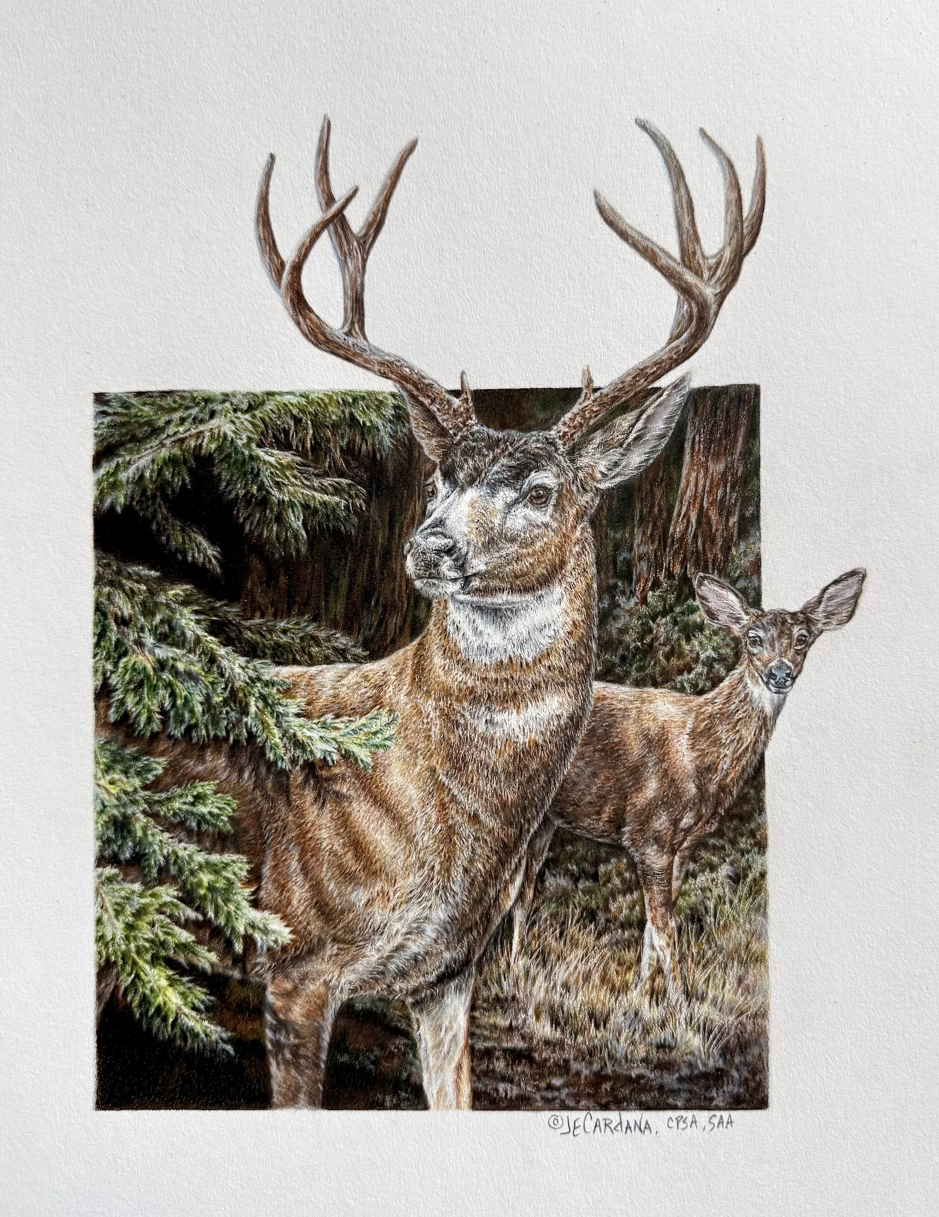 Jeanne Cardana- Studio #31