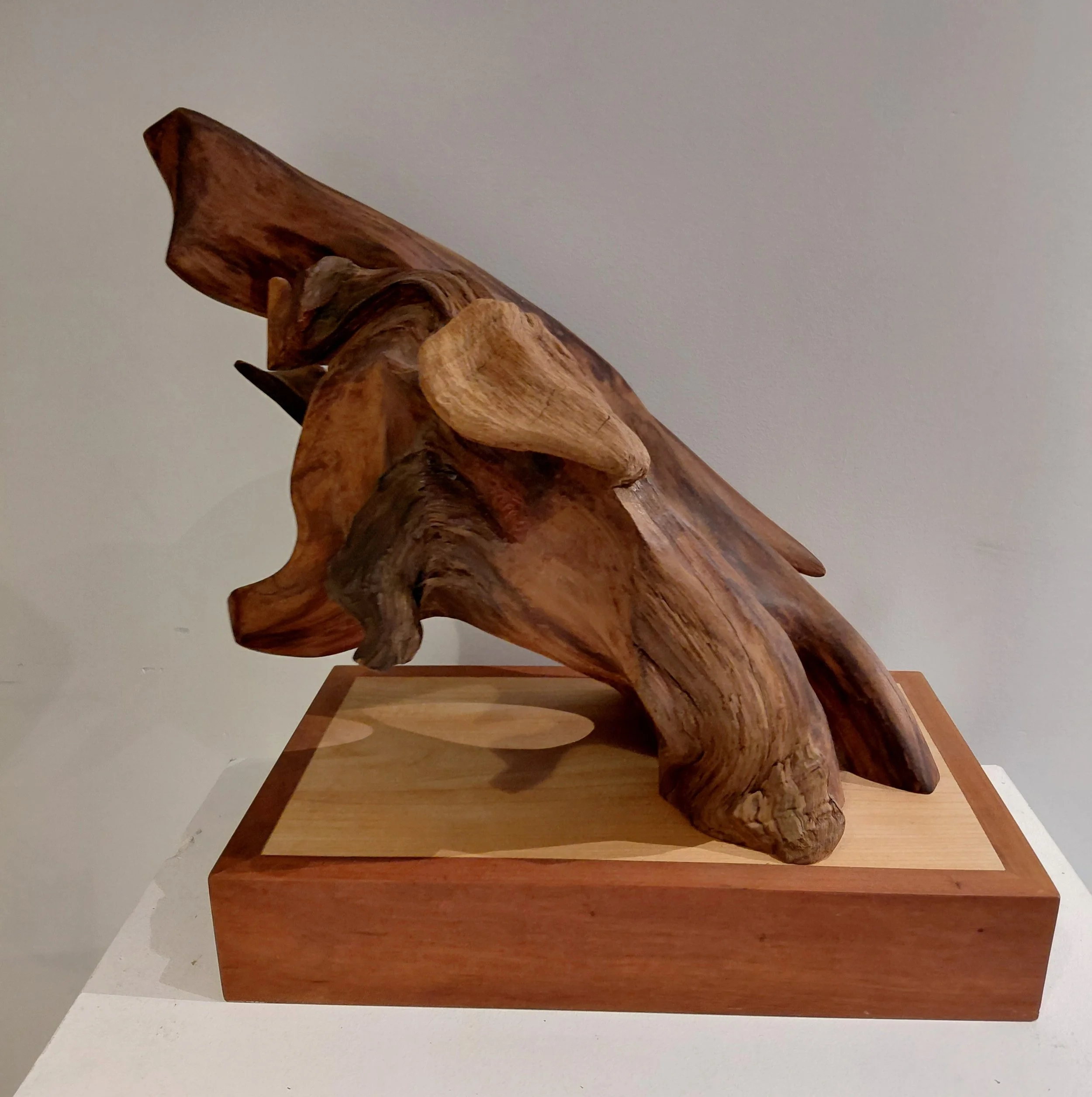 Martin Conley- Studio #25