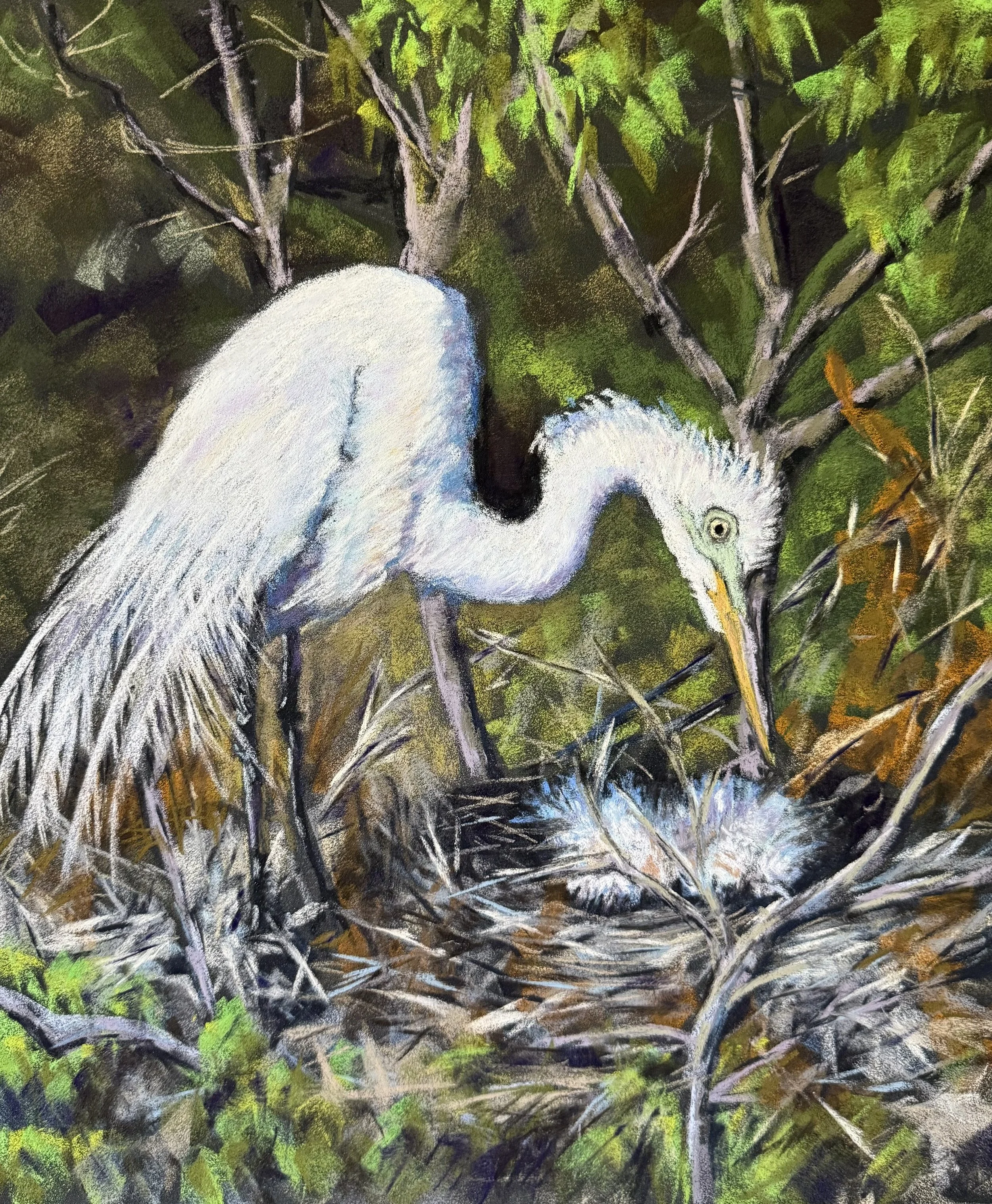 Elaine Daggett Aye The Rookery 18x22.jpeg