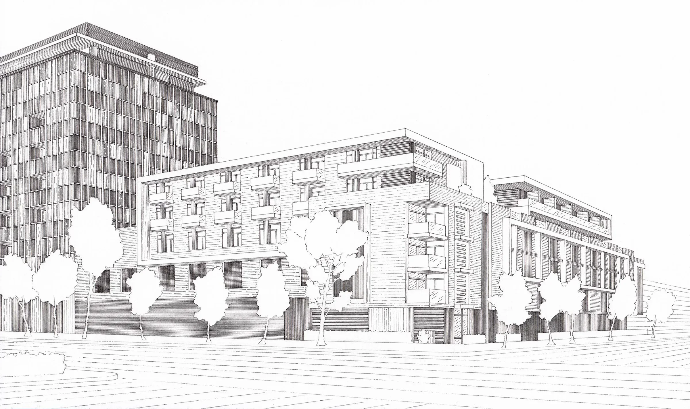 brand illustration and visual identity artwork for the collection at 380 cordova, a new condominium and townhome community in pasadena, california