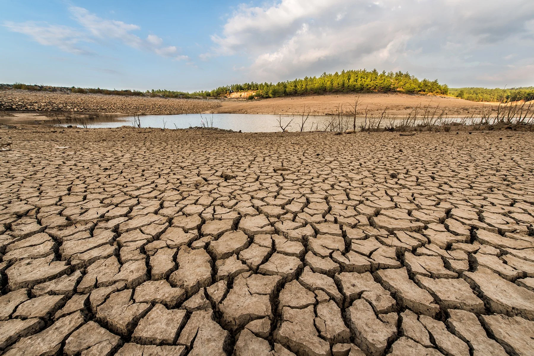 The Scarcity of Attention