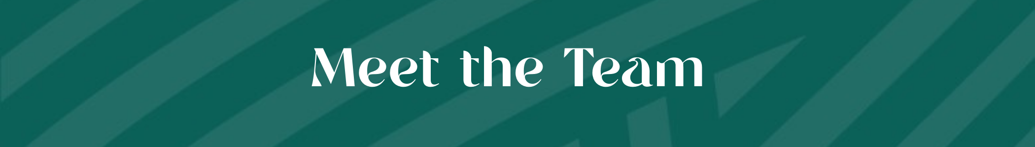 Green banner with white text that says 'Meet the Team'.