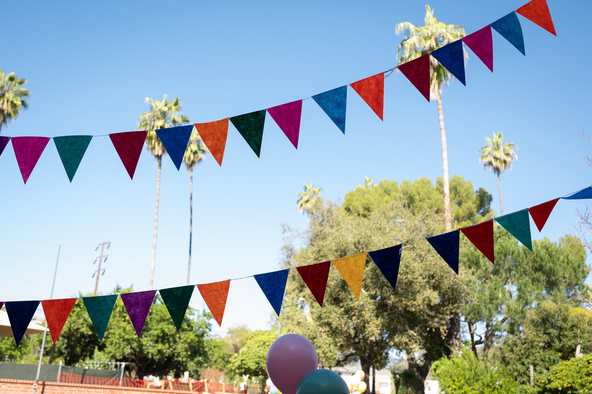 Colorful triangular bunting flags hanging outdoors with trees and a clear blue sky in the background.