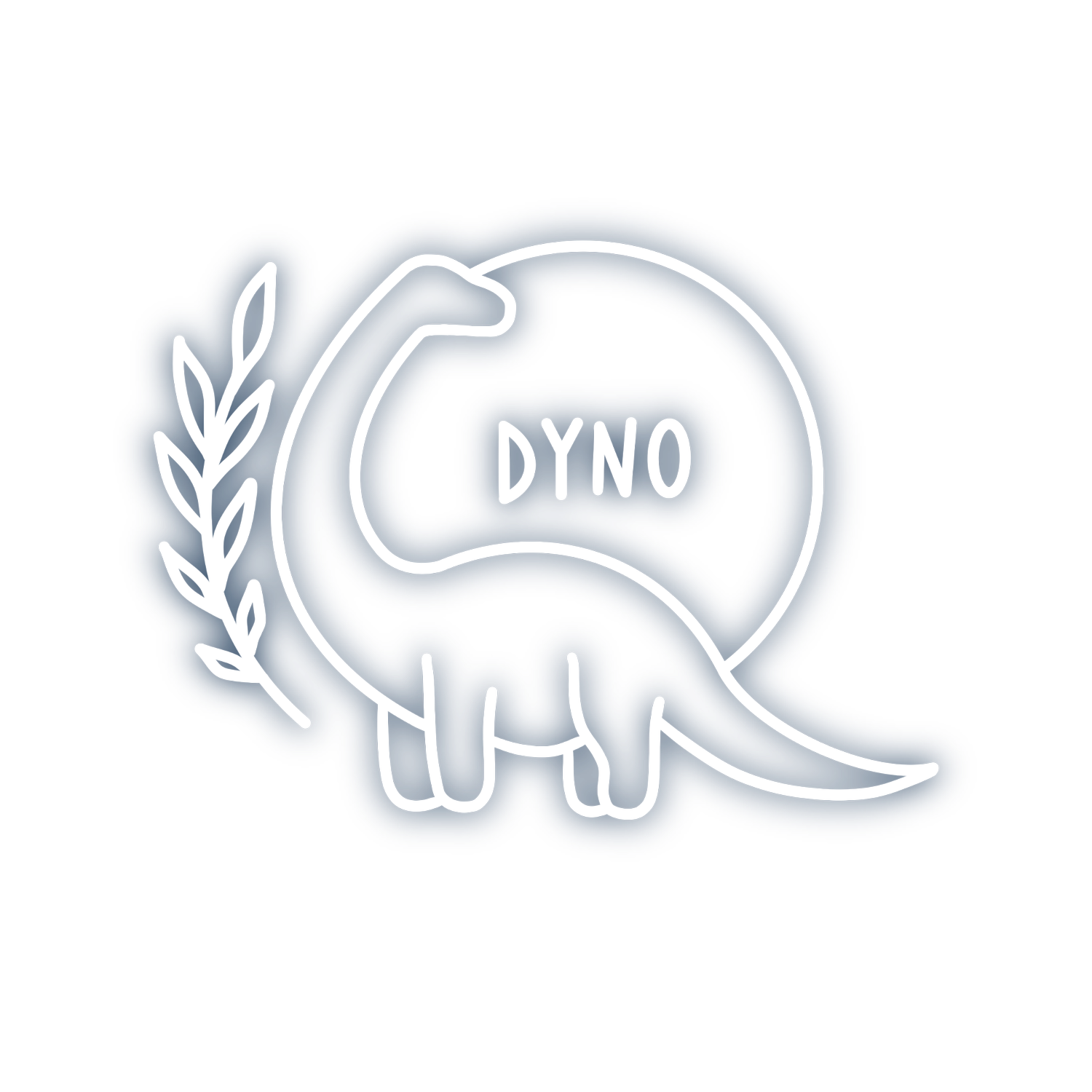 Dyno Store