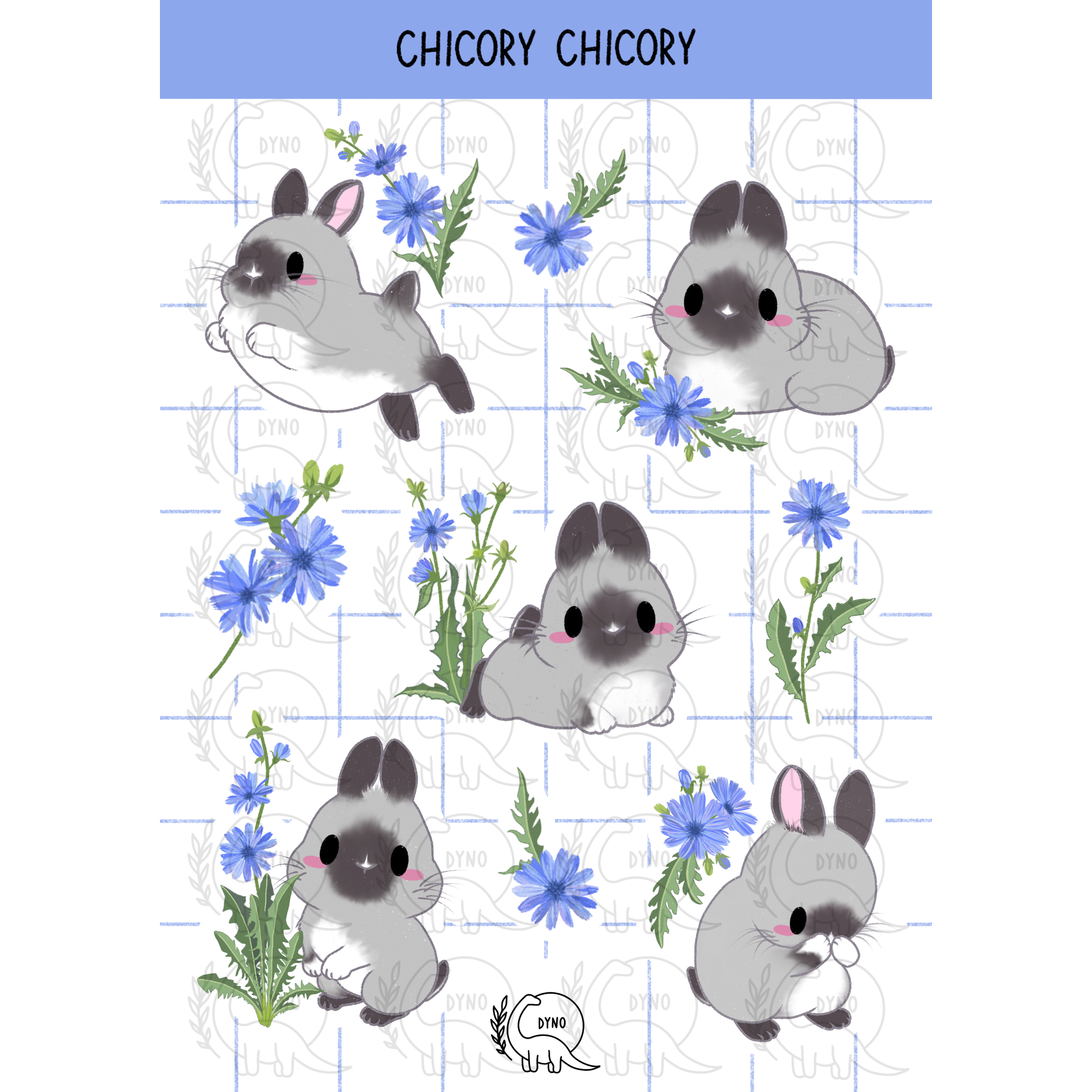 Chicory chicory