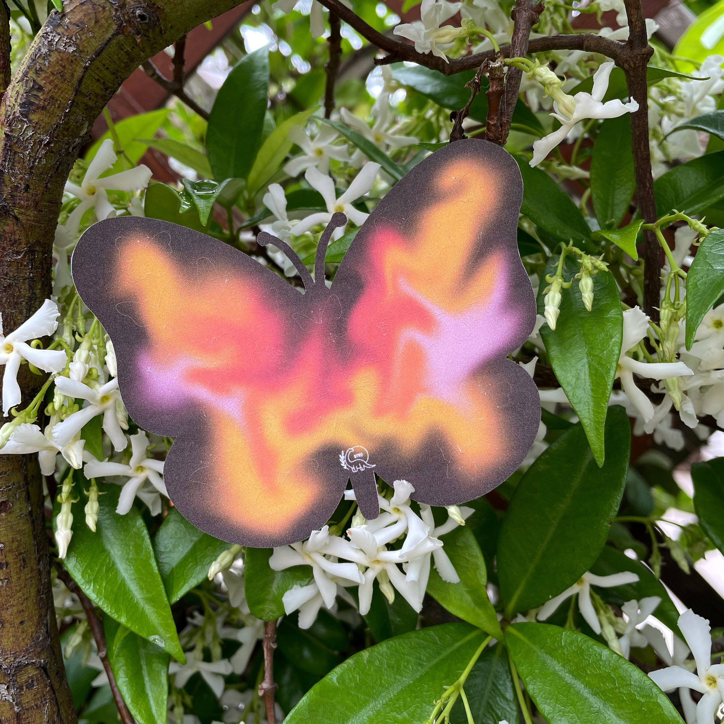 Monarch butterfly