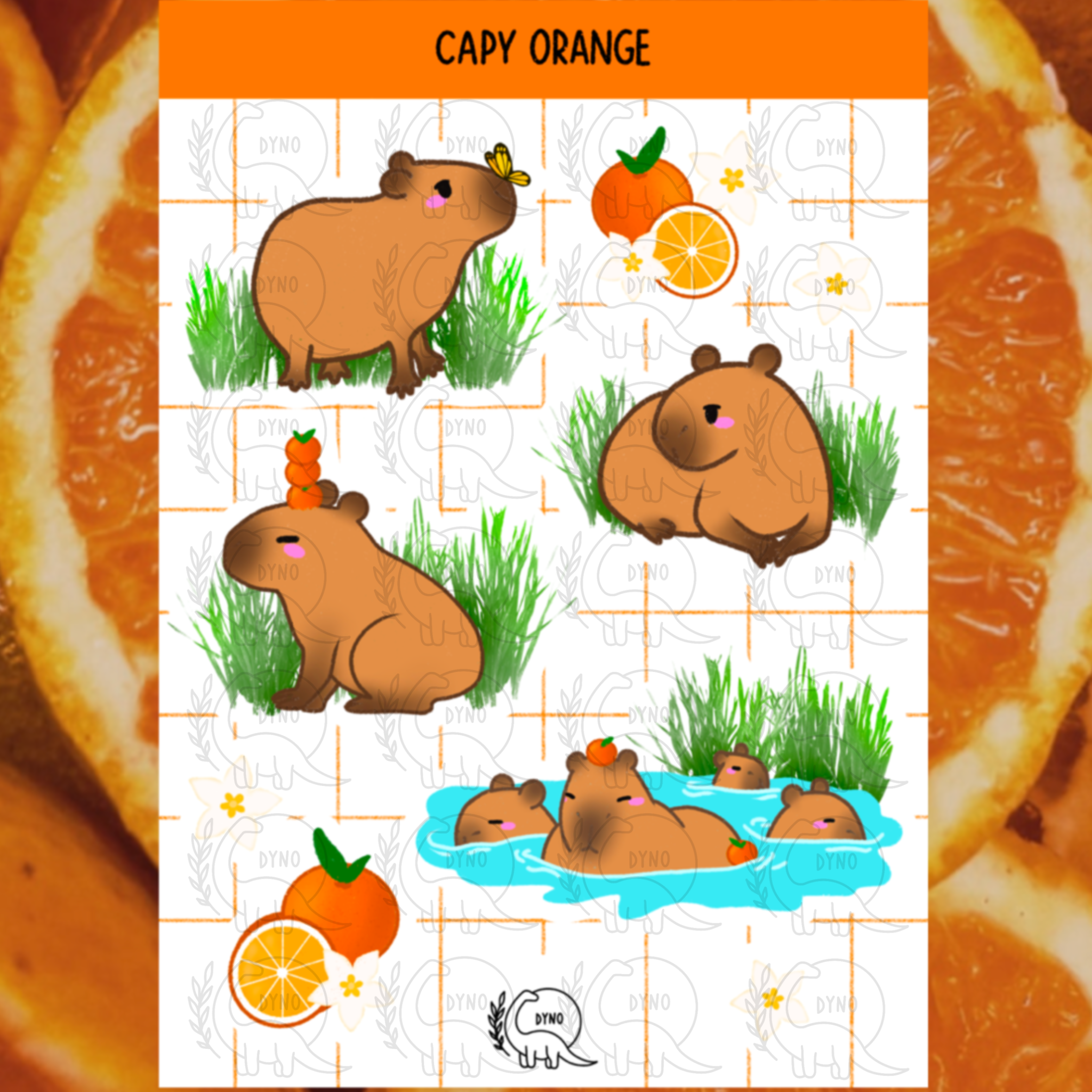 Capy orange