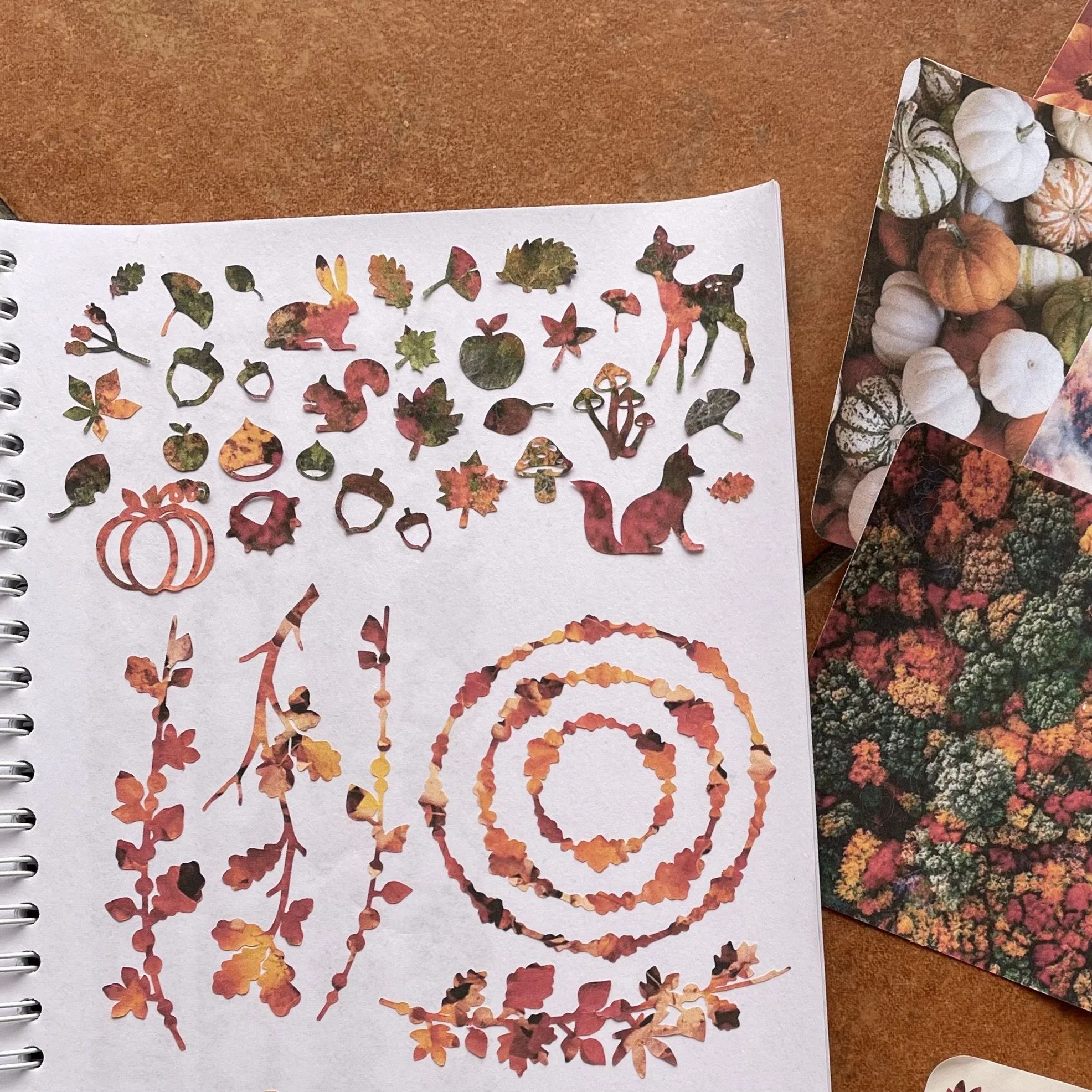 Autumn collection