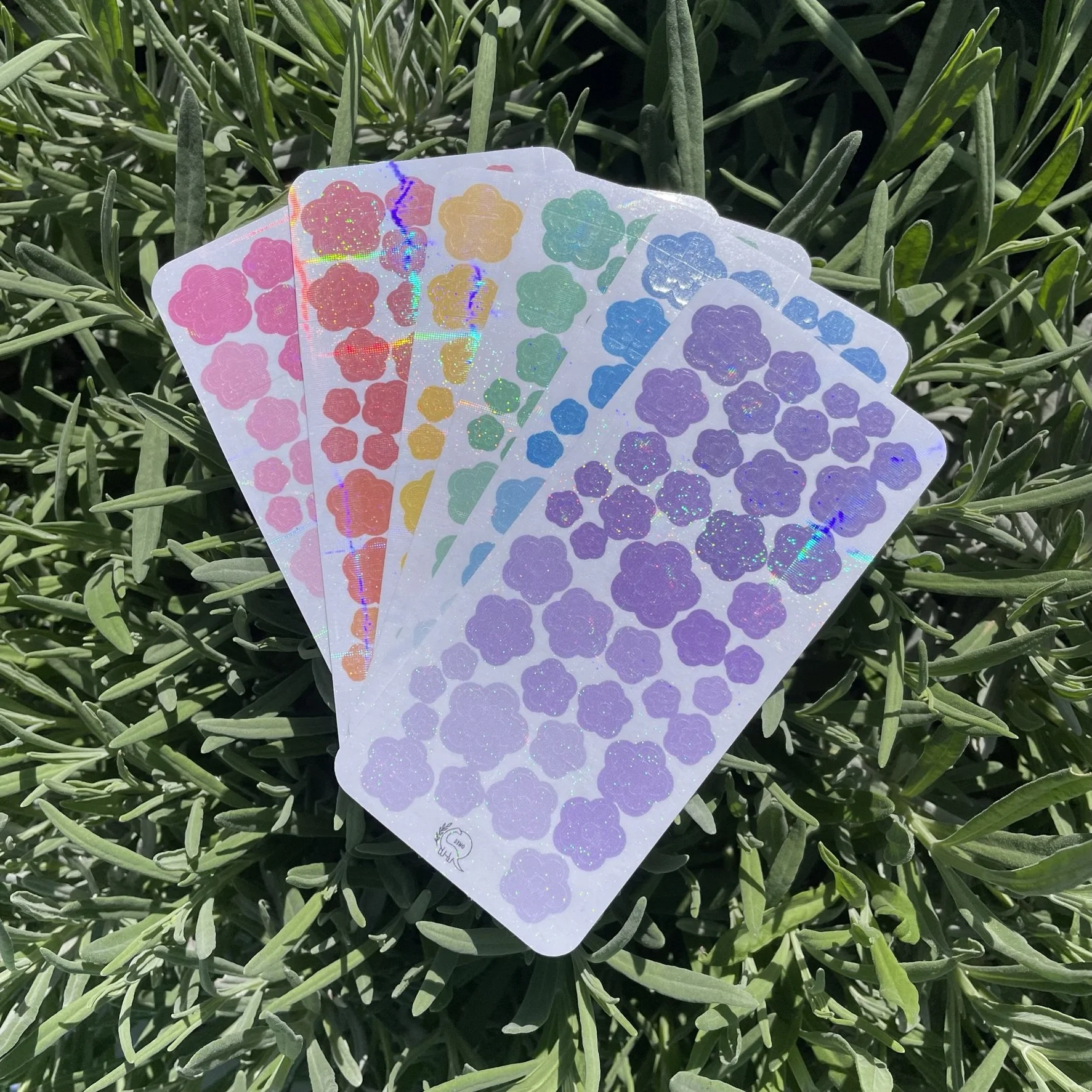 Holo rainbow daisies