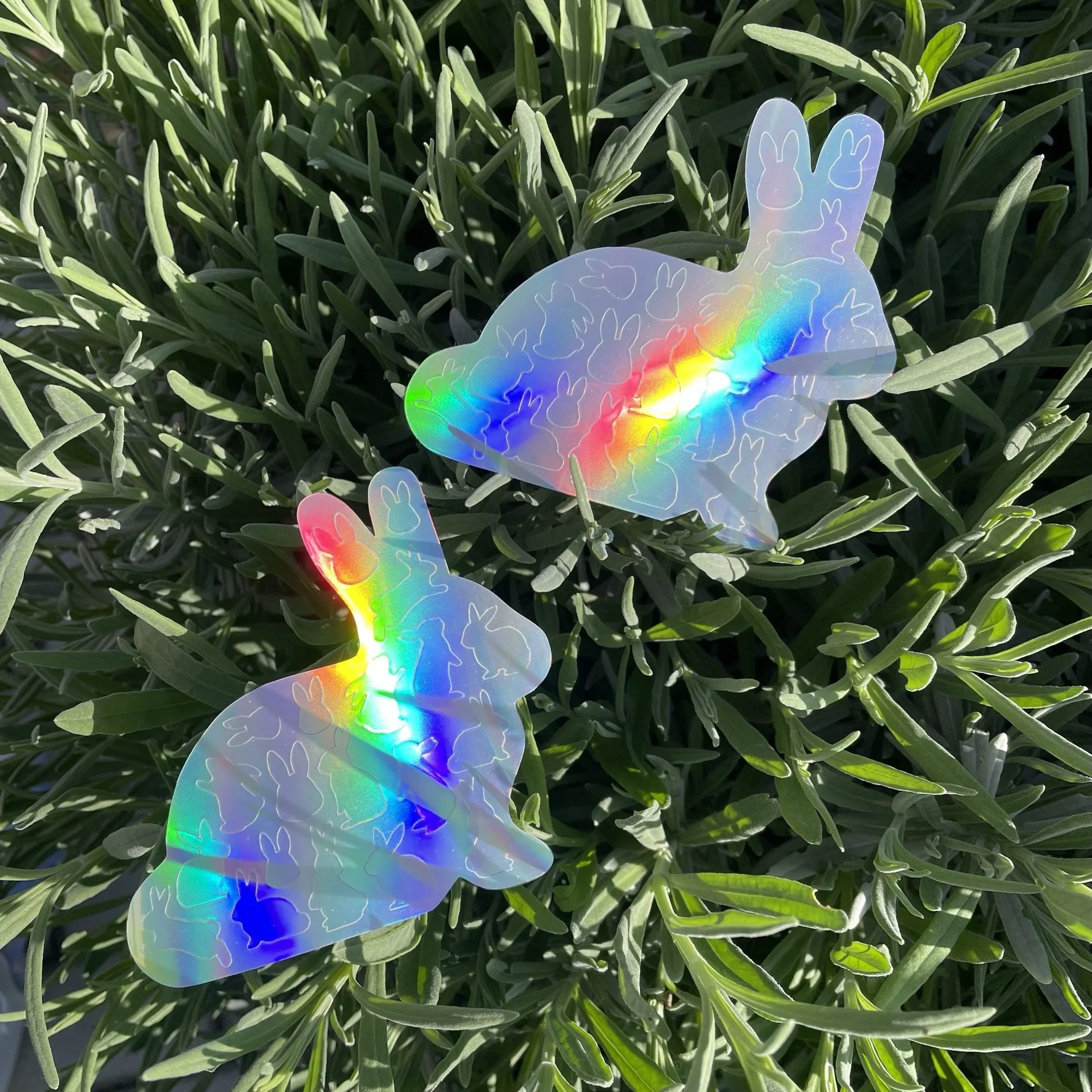 Holo vinyl bunnies