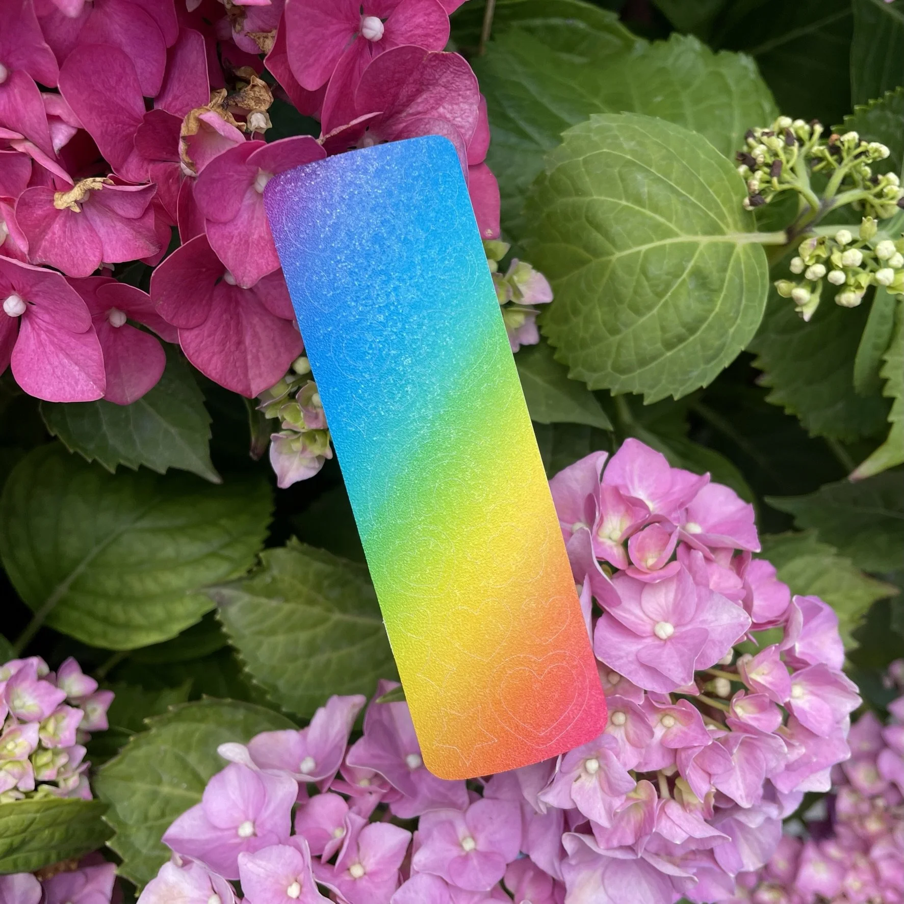 Rainbow pride