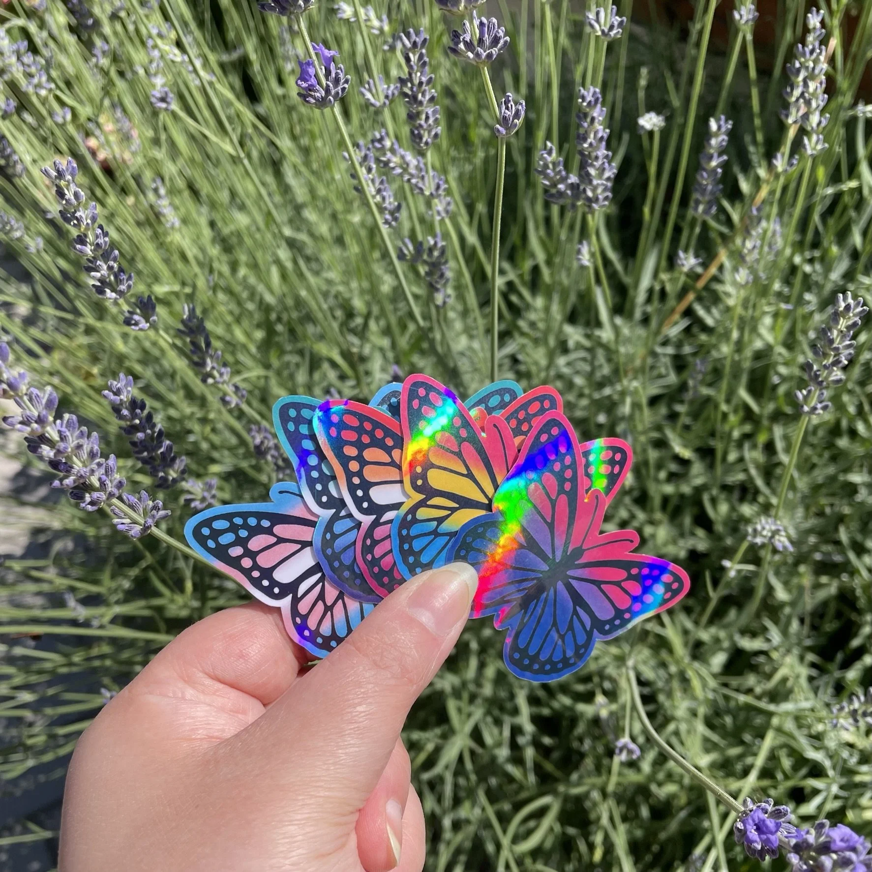 Butterfly flags