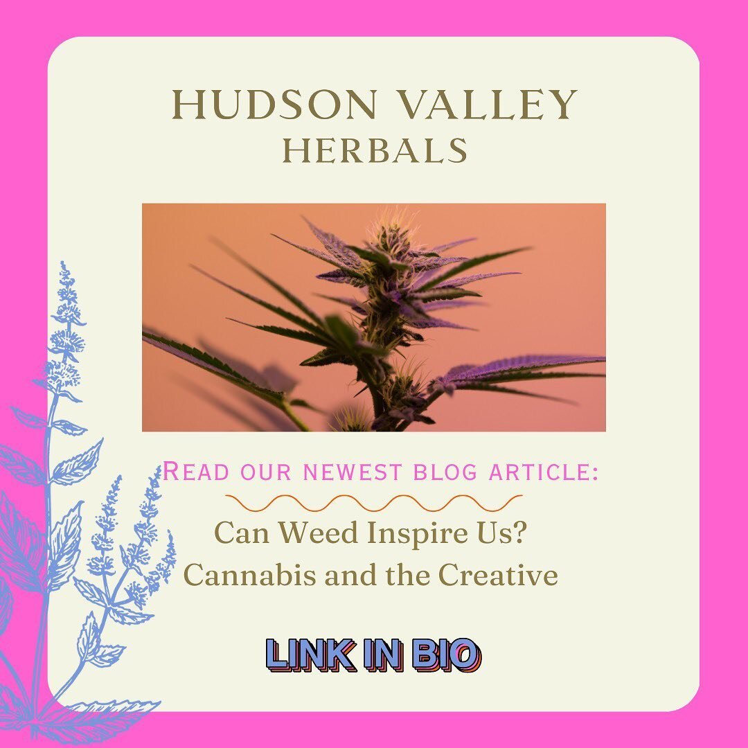 Our articles are getting more and more fun to write. We love exploring the industry and cannabis culture from different angles. This article focuses on an idea we continue to explore and love to discuss! Give it a read and let us know what you think.