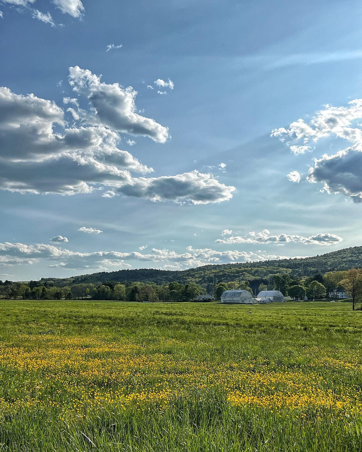 Can&rsquo;t wait until we get to start farming this gorgeous property 🌼