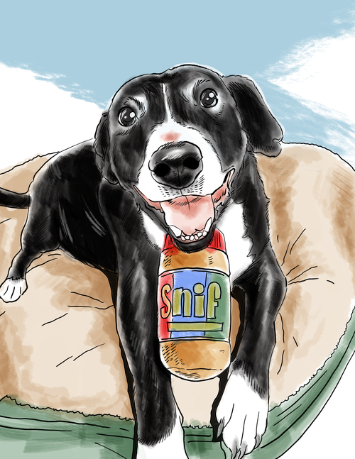 Custom, Hand-Illustrated Pet Memorial Portrait by Yoko Molotov