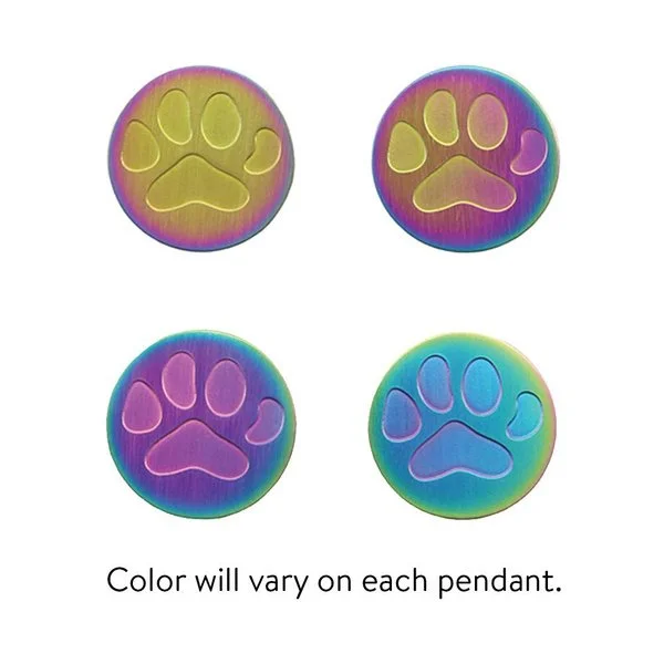 Rainbow round pet memorial pendant with large etched paw print, matching 19-inch chain, and memento compartment.