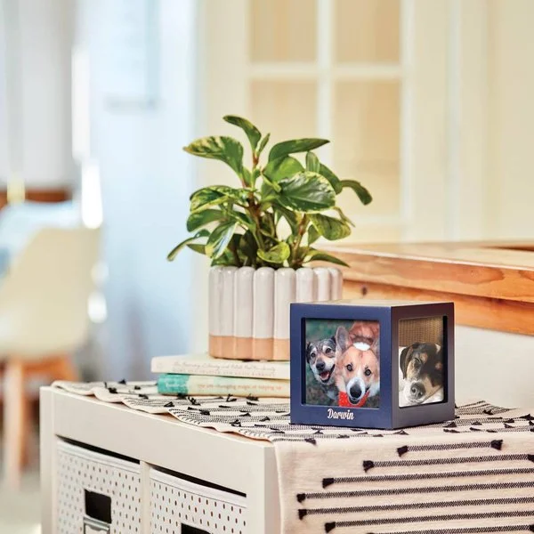 Navy blue photo cube urn with three photo slots for pets, customizable with engraving, from Faithful Companions.